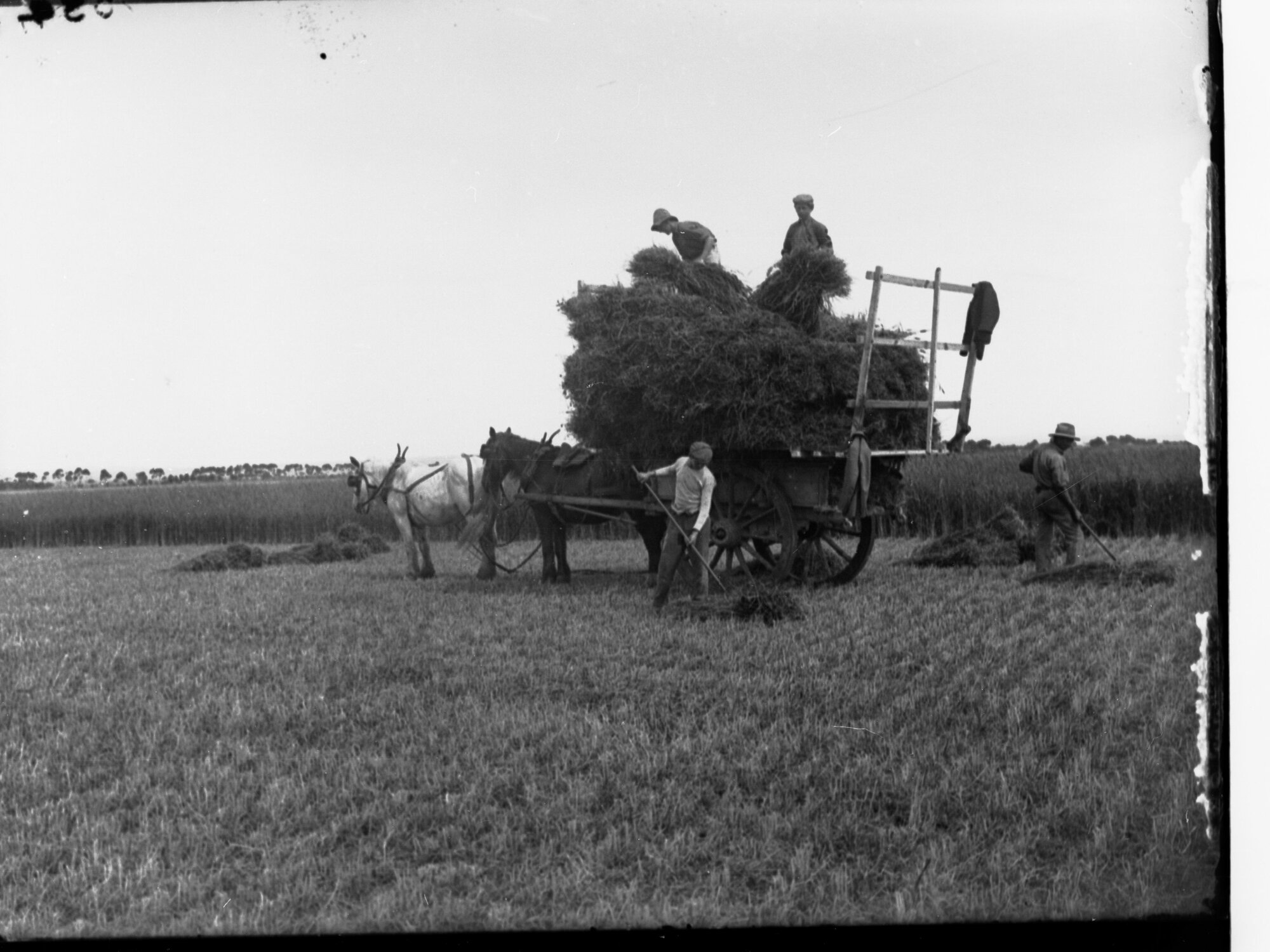 Men loading cart with hay