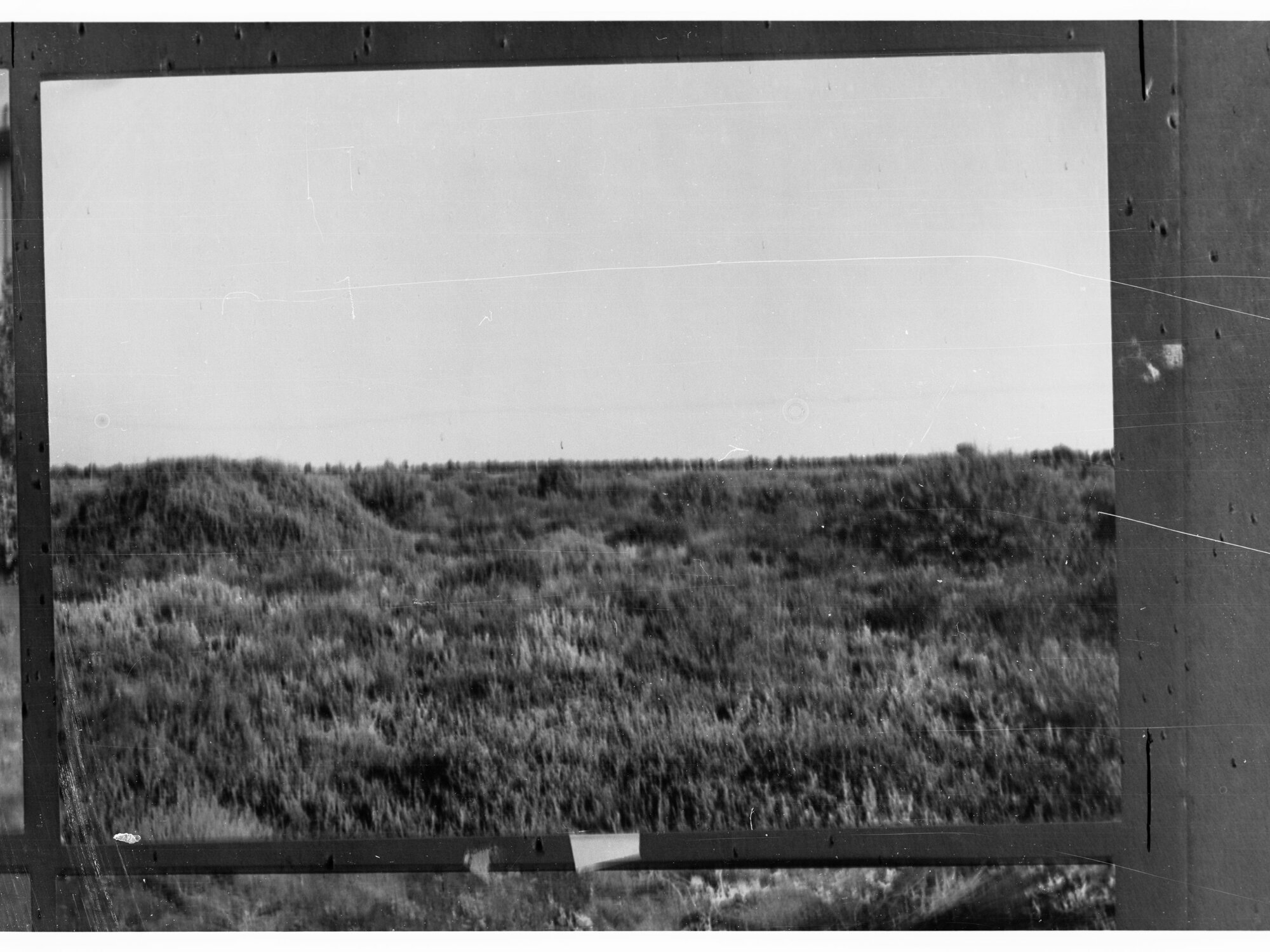 Rural Scene in Desert
