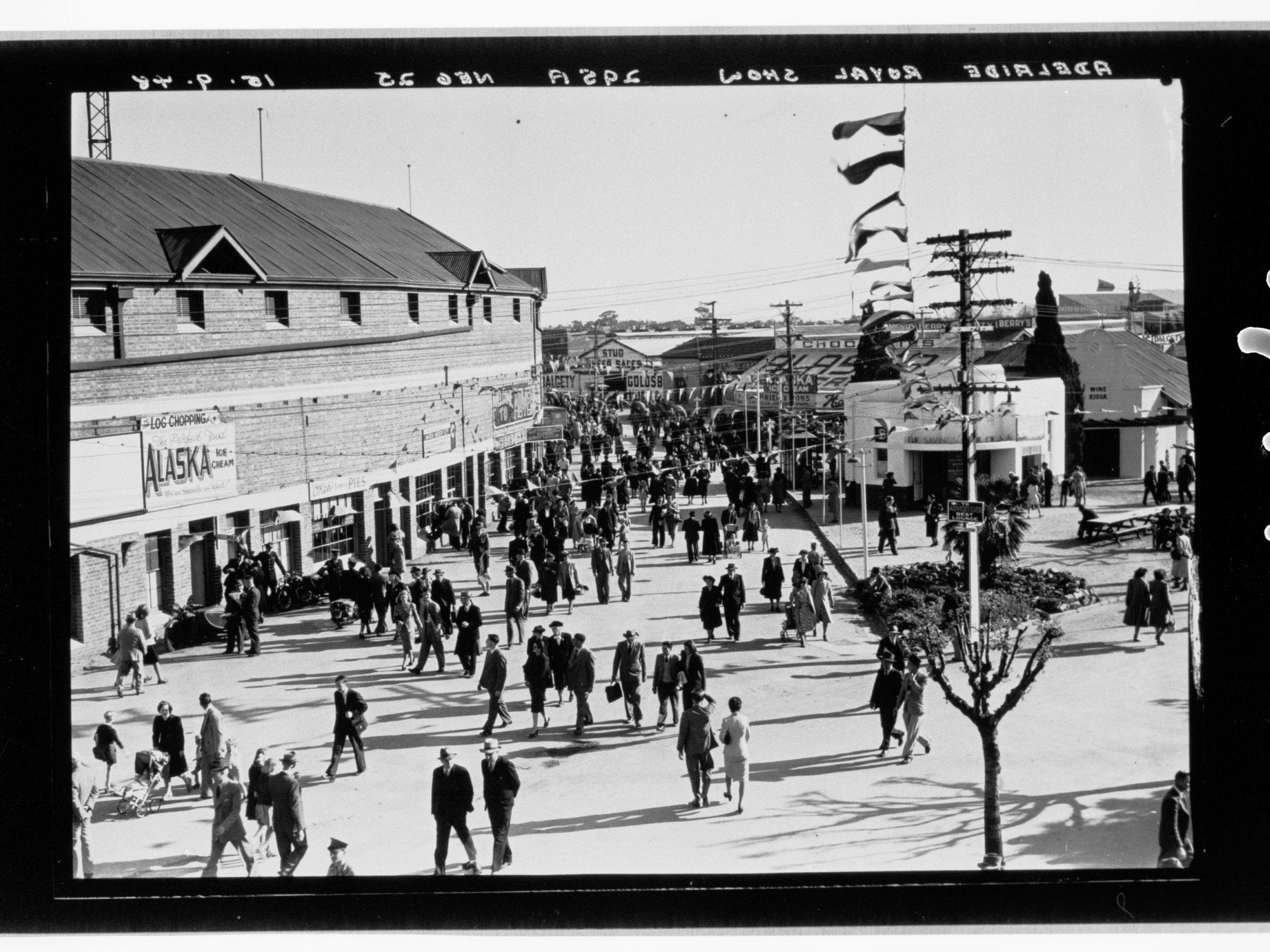 Royal Adelaide Show