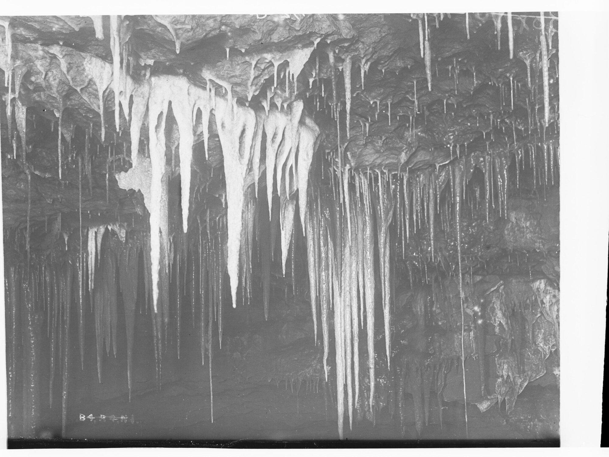 Stalactites  in Cave
