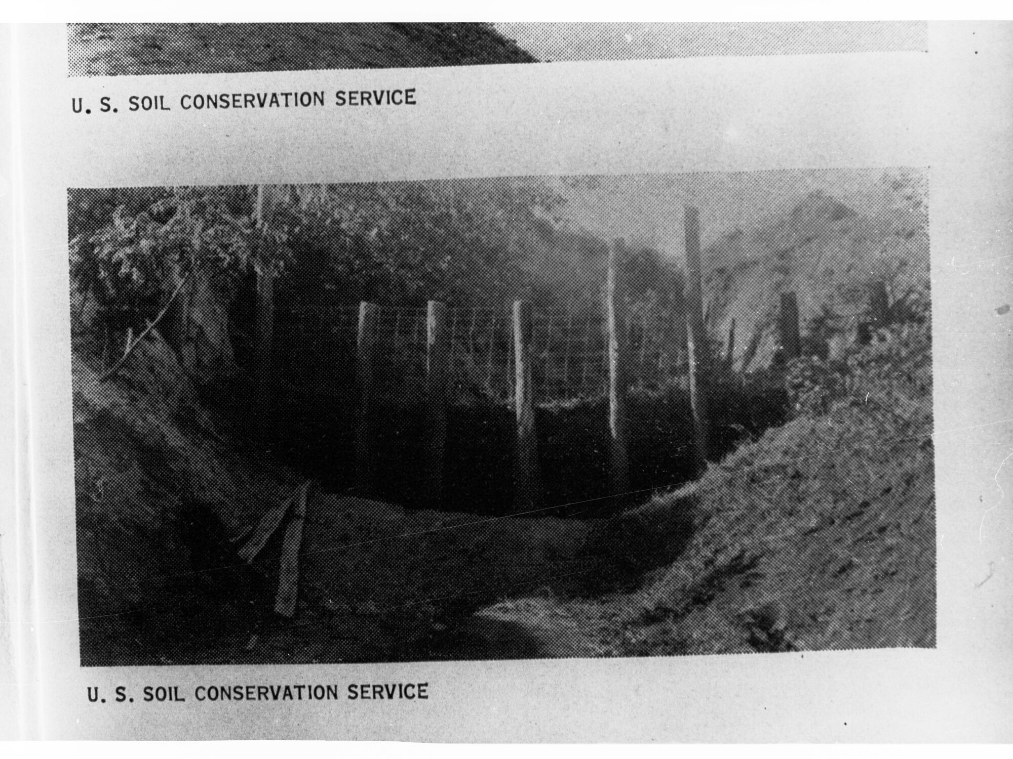 U.S. Soil Conservation Services