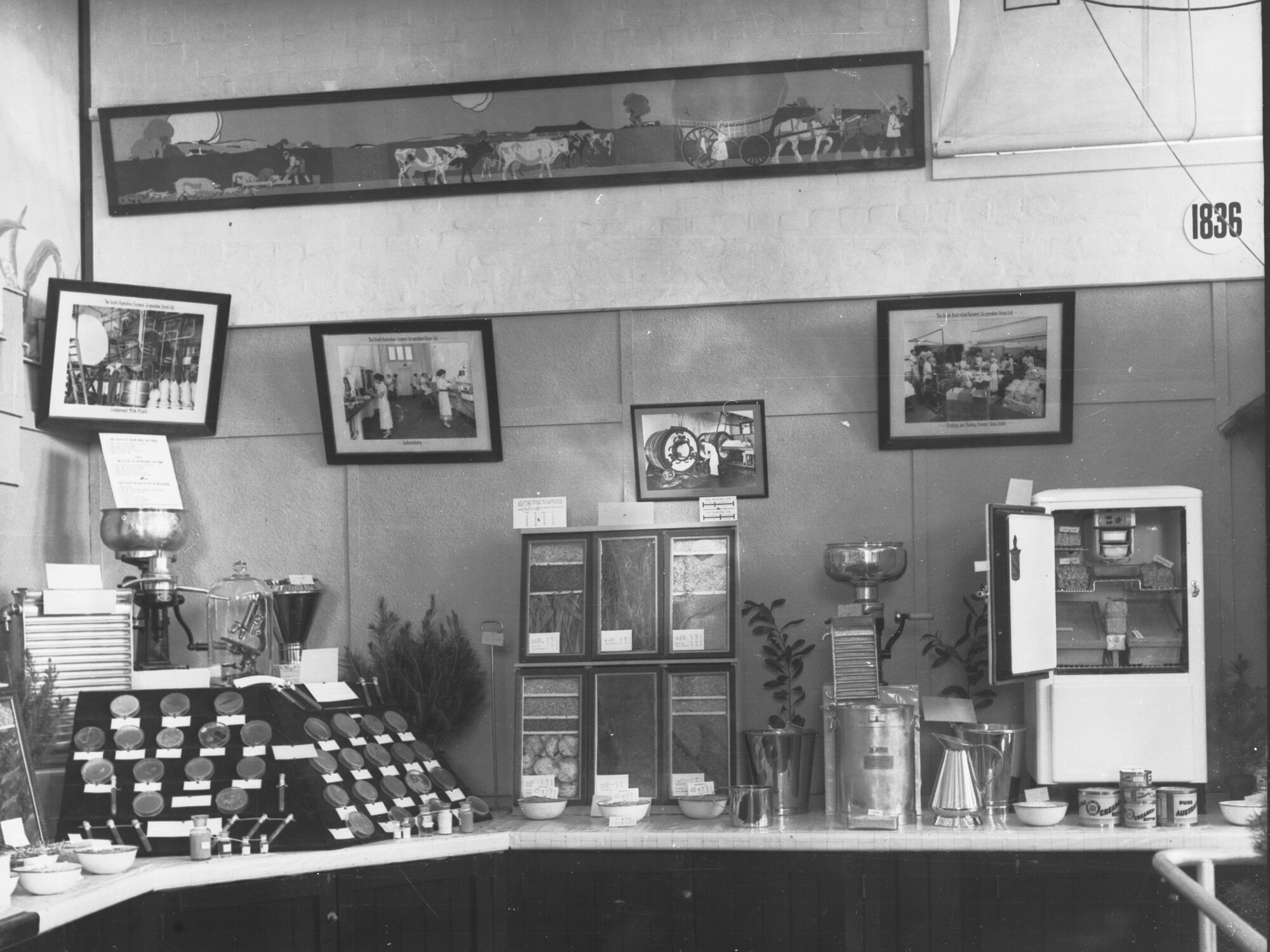 Exhibition for the Department of Agriculture showing dairy product
