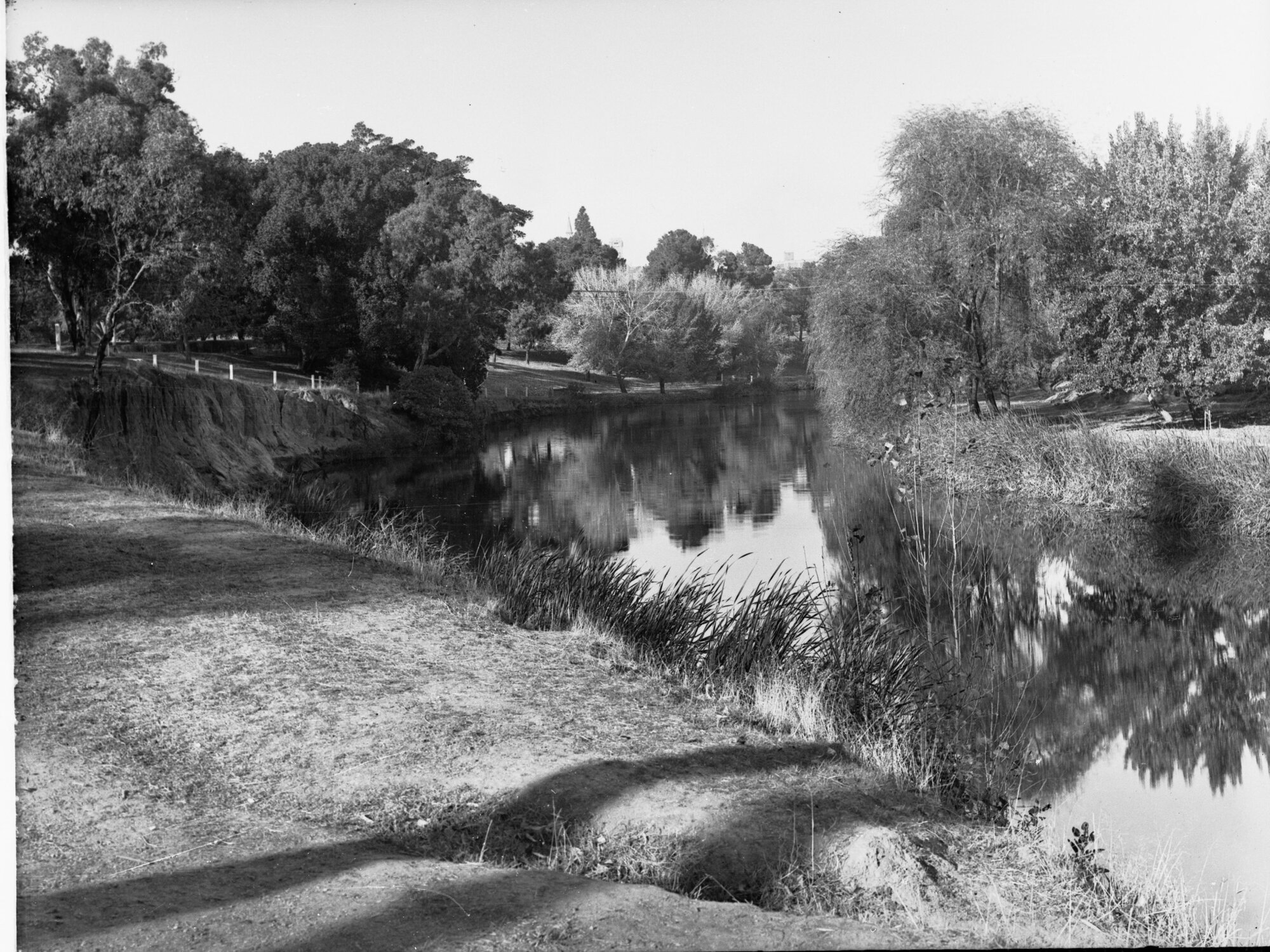 River Torrens Near Frome Road Bridge