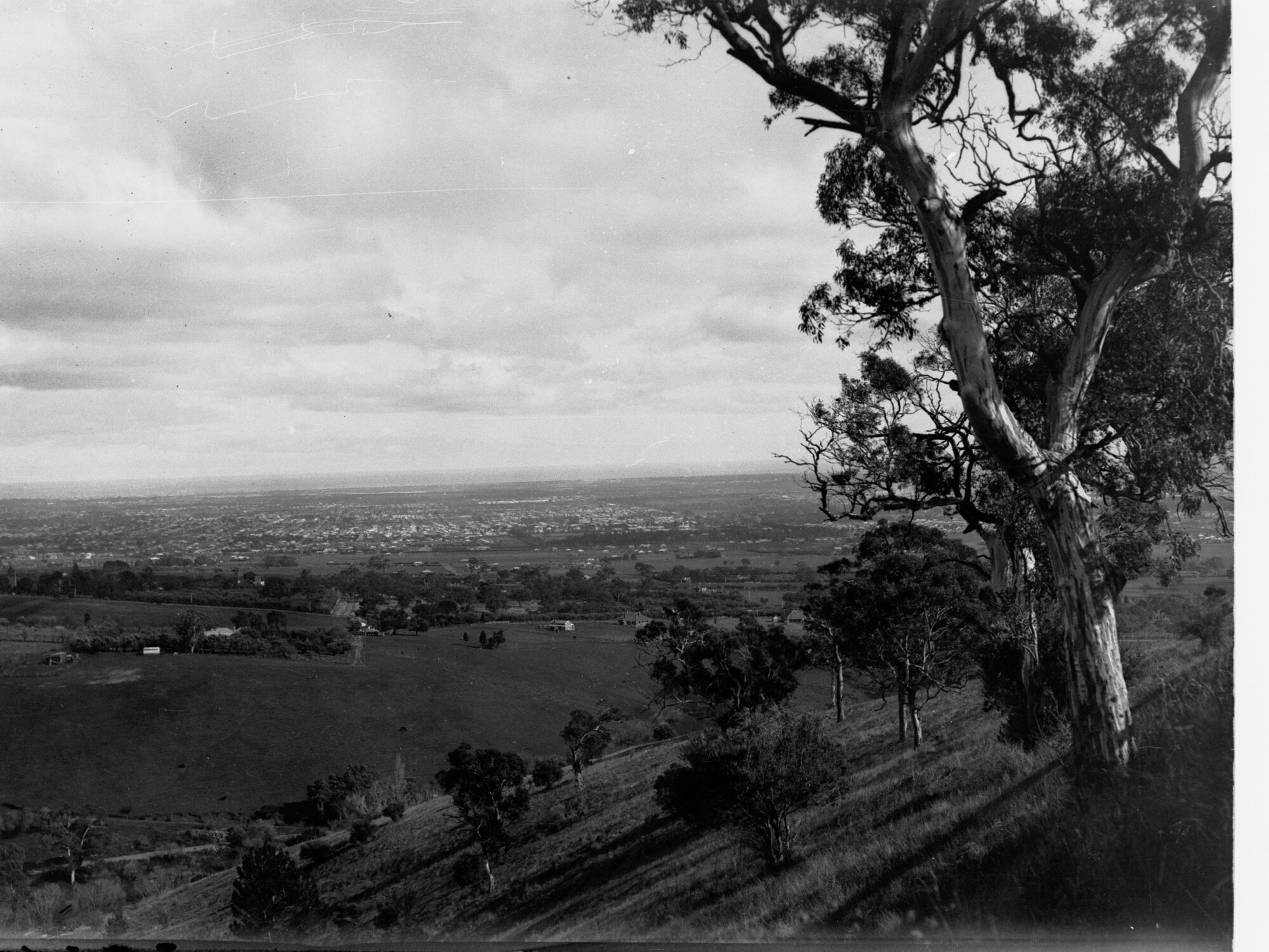 View Overlooking Adelaide from Greenhill Road