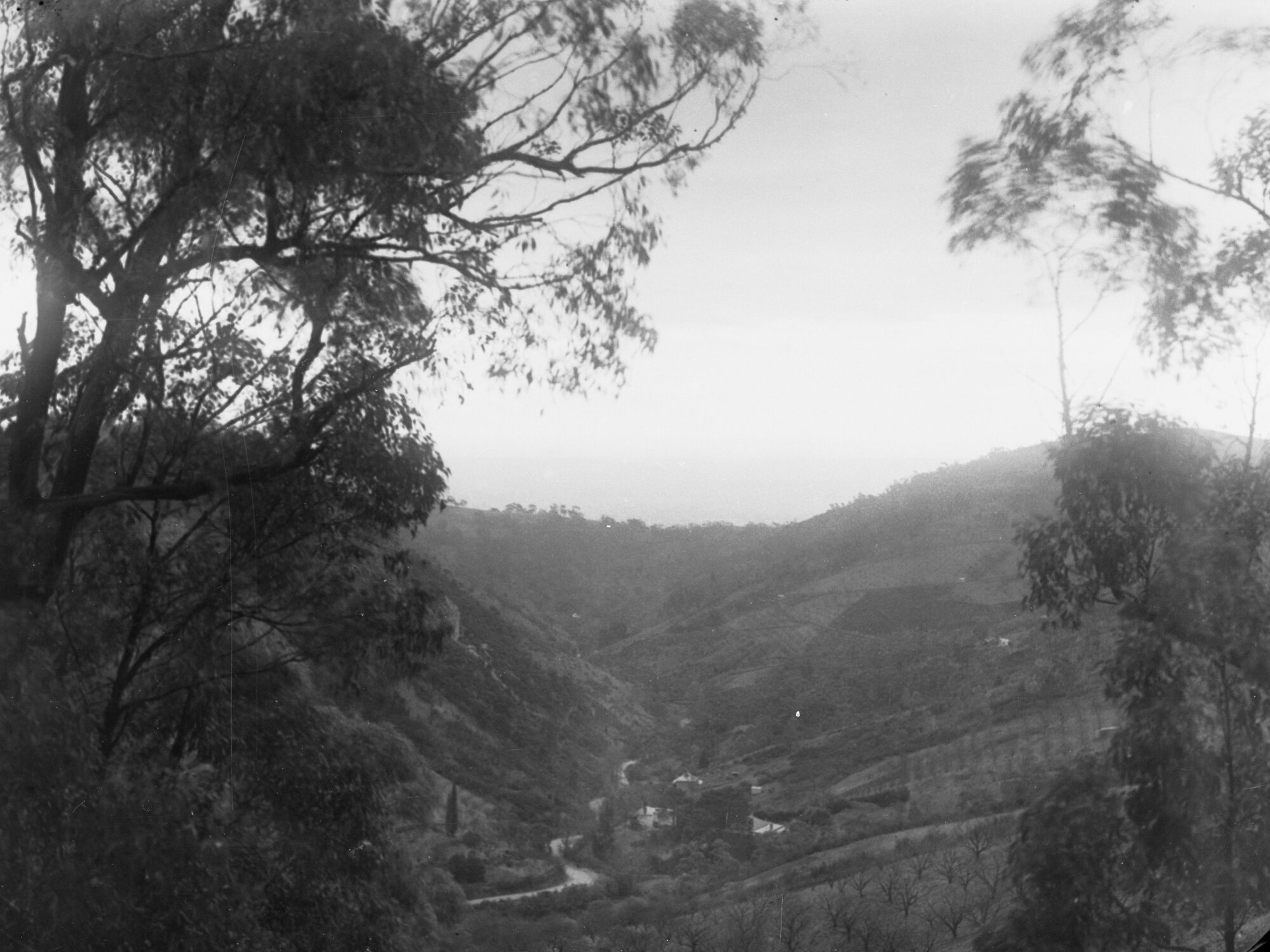 Nortons Summit, Mount Lofty Ranges