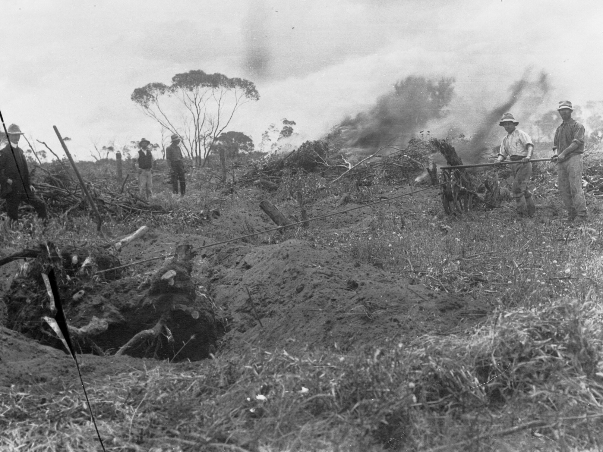 Men Clearing Bush Land