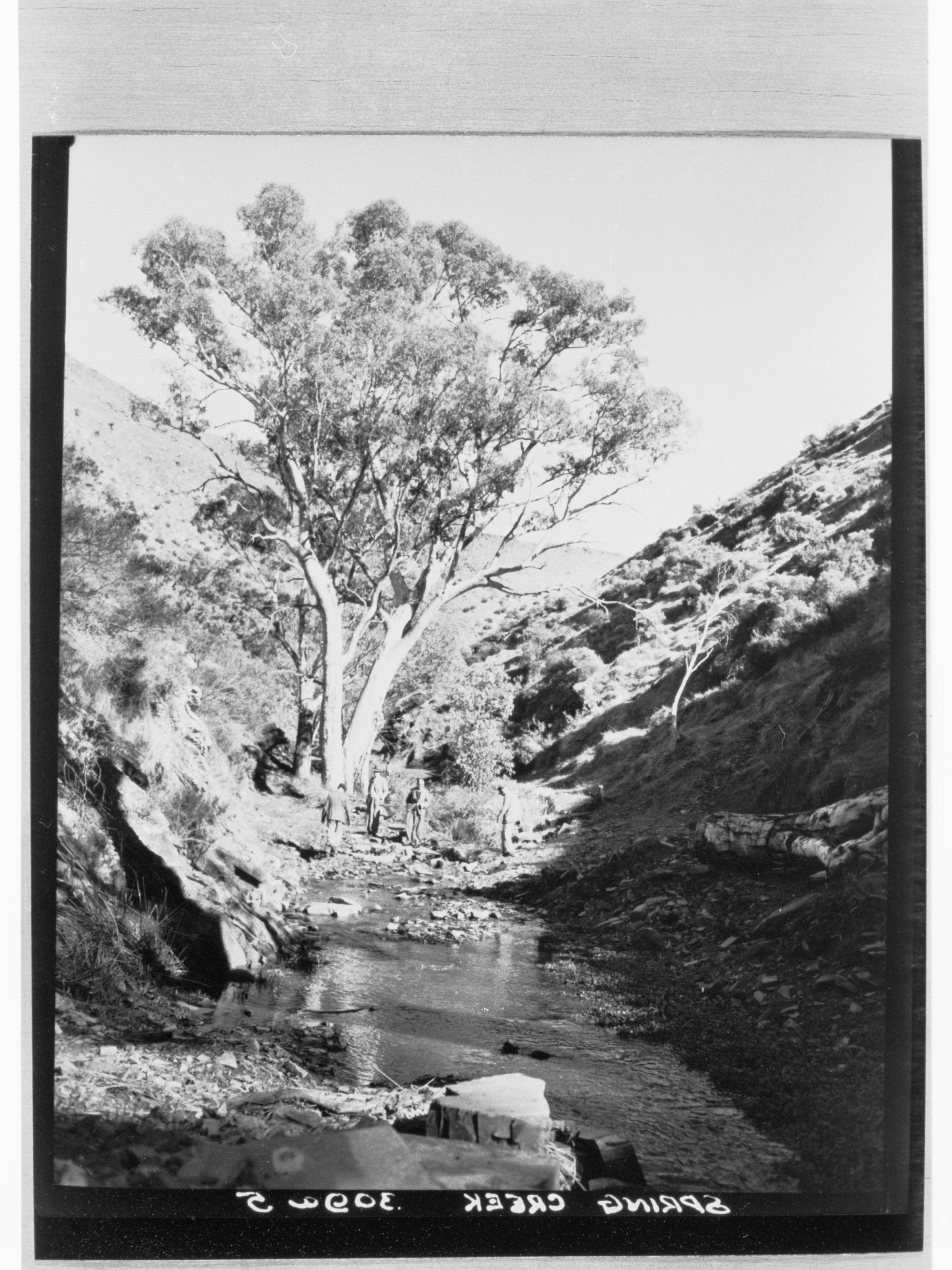 Spring Creek
