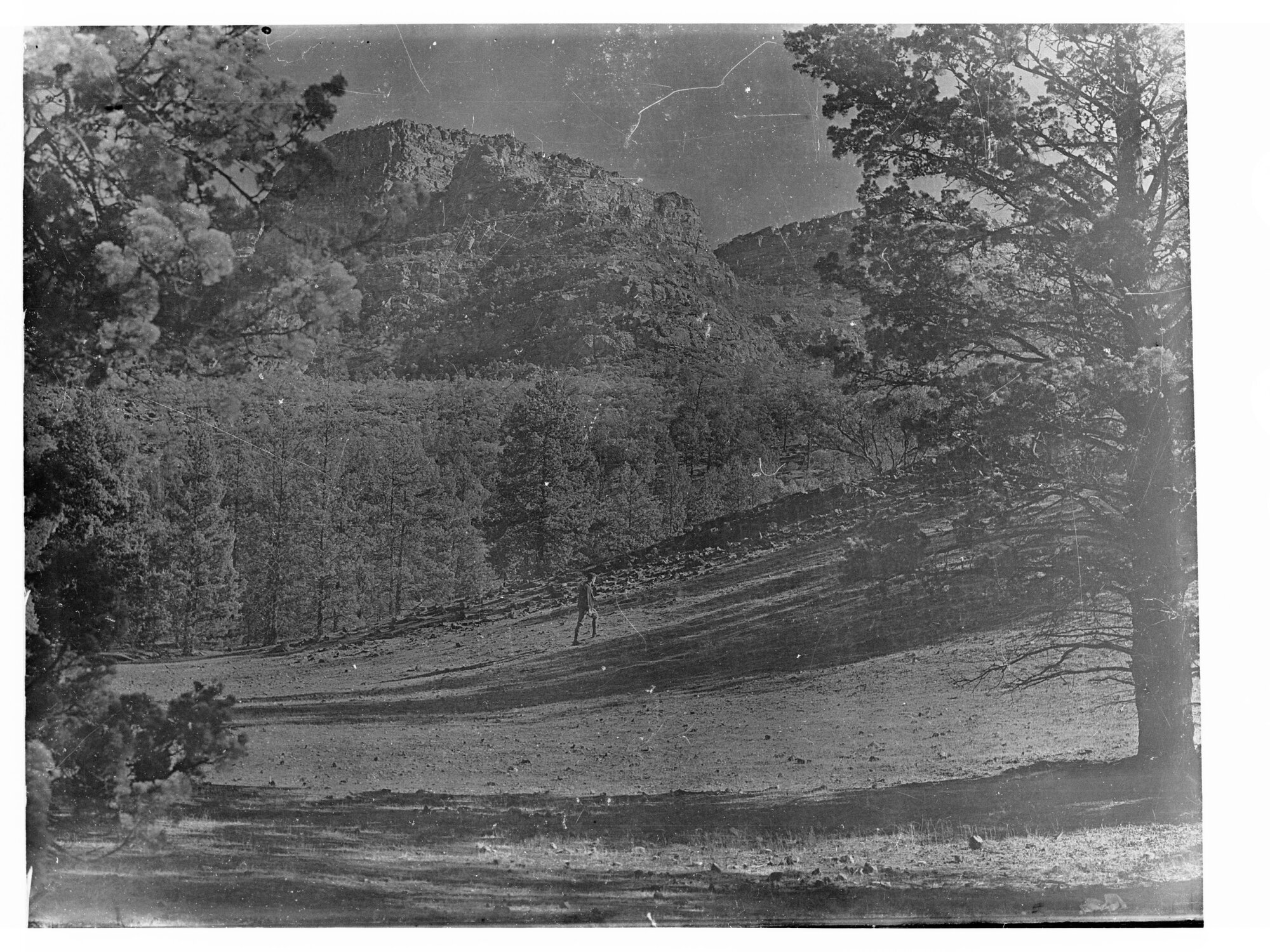 Flinders Ranges 