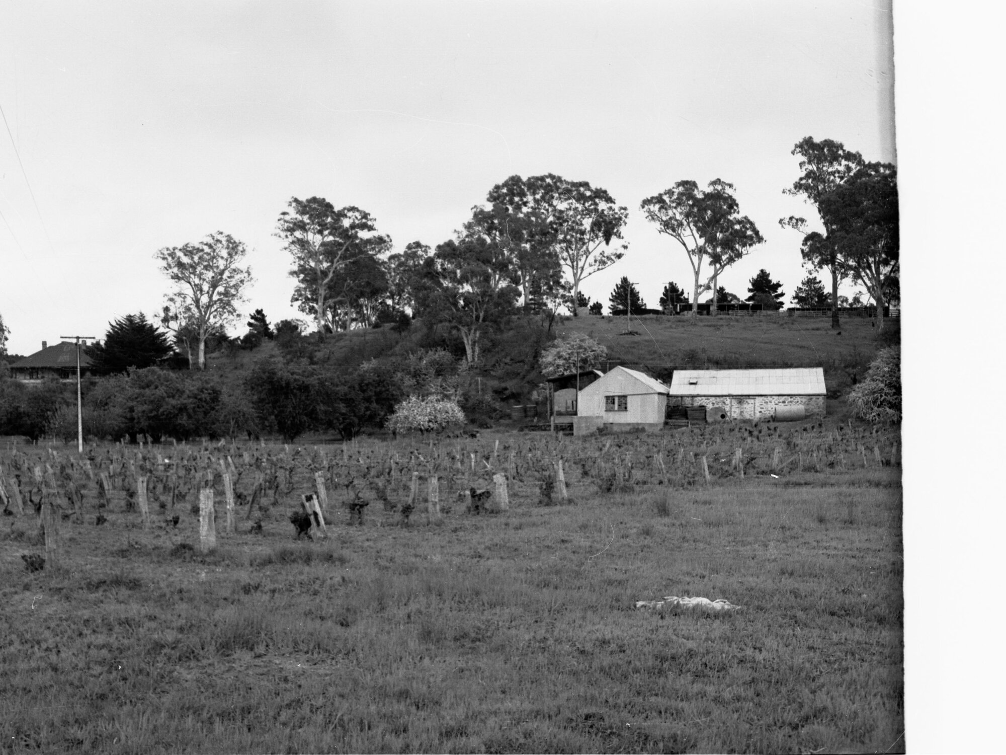 Engineering and Water Supply - Farmhouse and yard