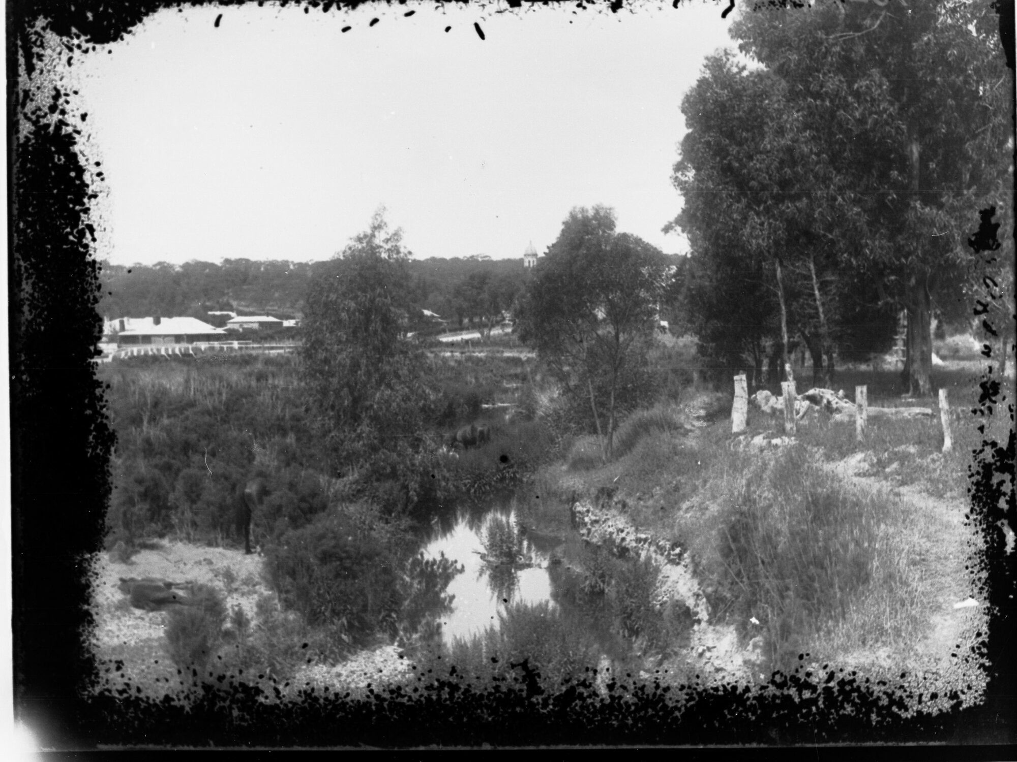 Clare Rural View