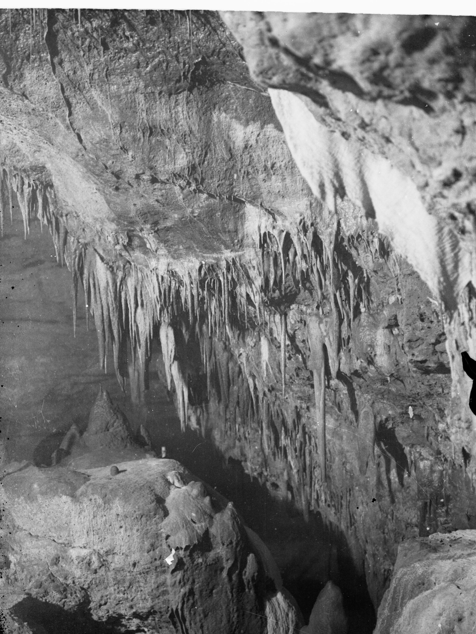 Inside Naracoorte caves