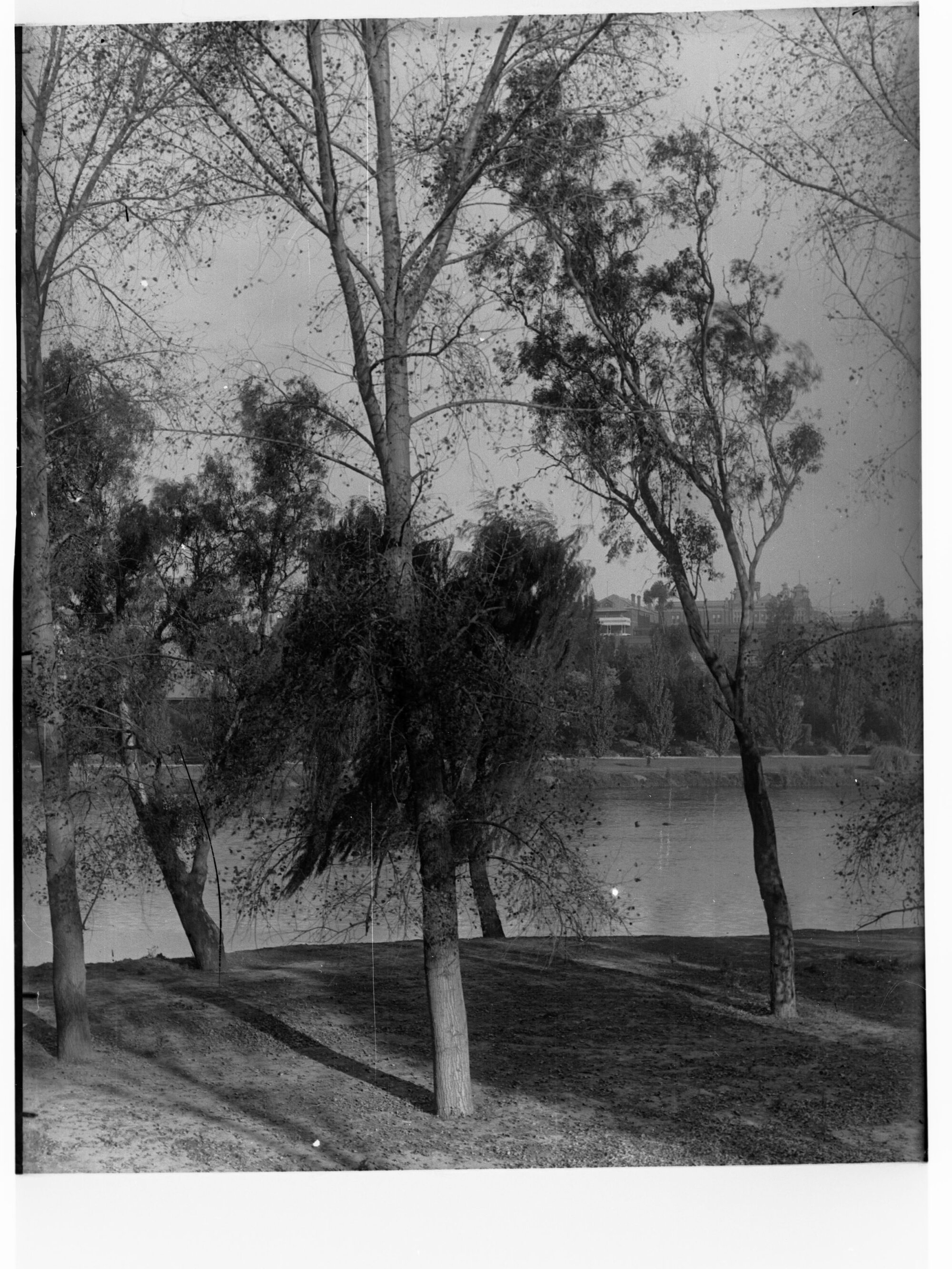 Banks of the River Torrens