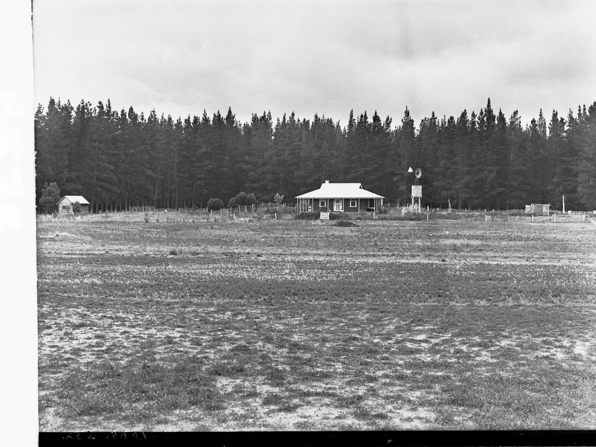 Penola Forest Foresters Home