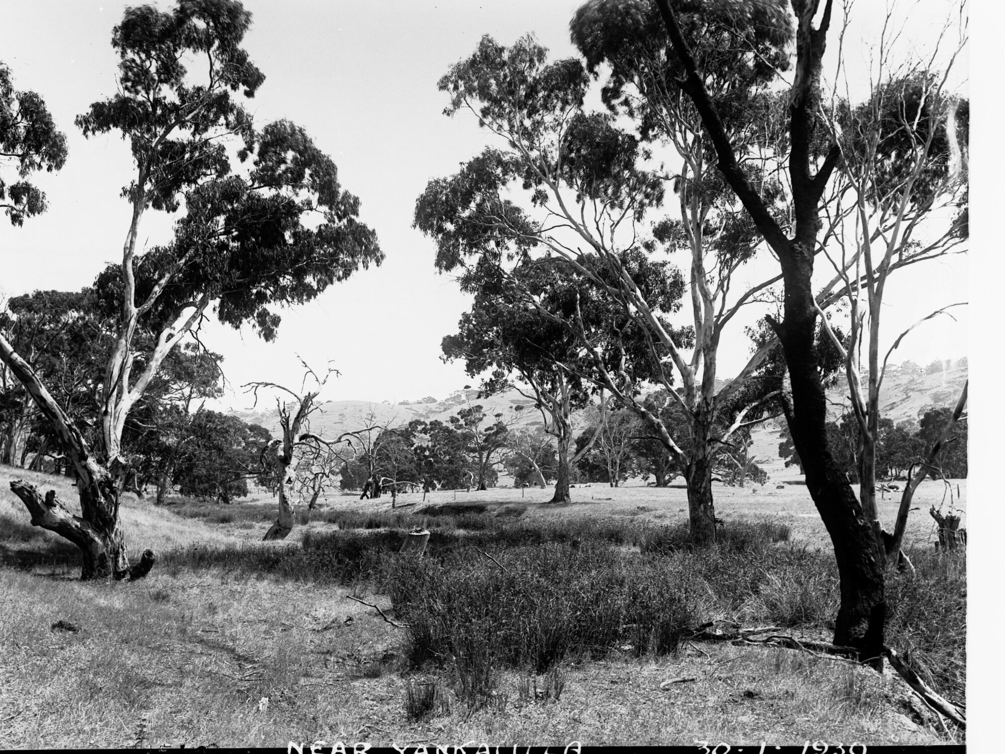 Near Yankalilla
