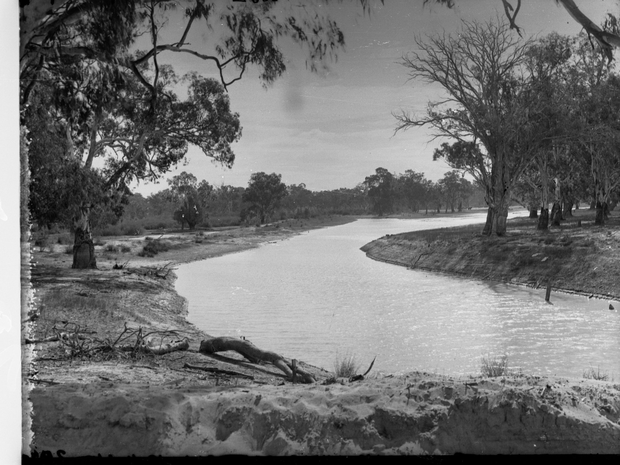 River Murray Near Cobdogla