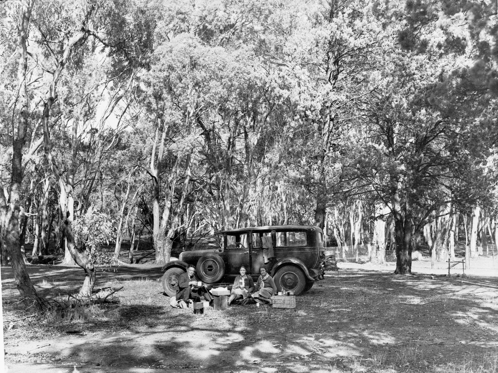 Camping Site Entrance to Wilpena Pound Flinders Ranges