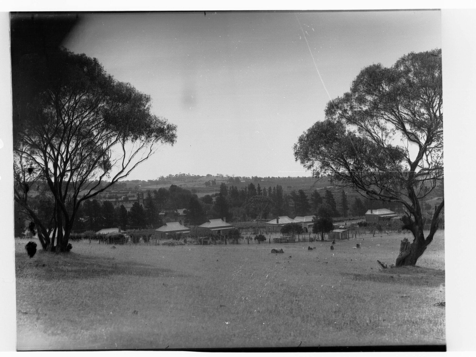 Rural view - Angaston amongst the trees