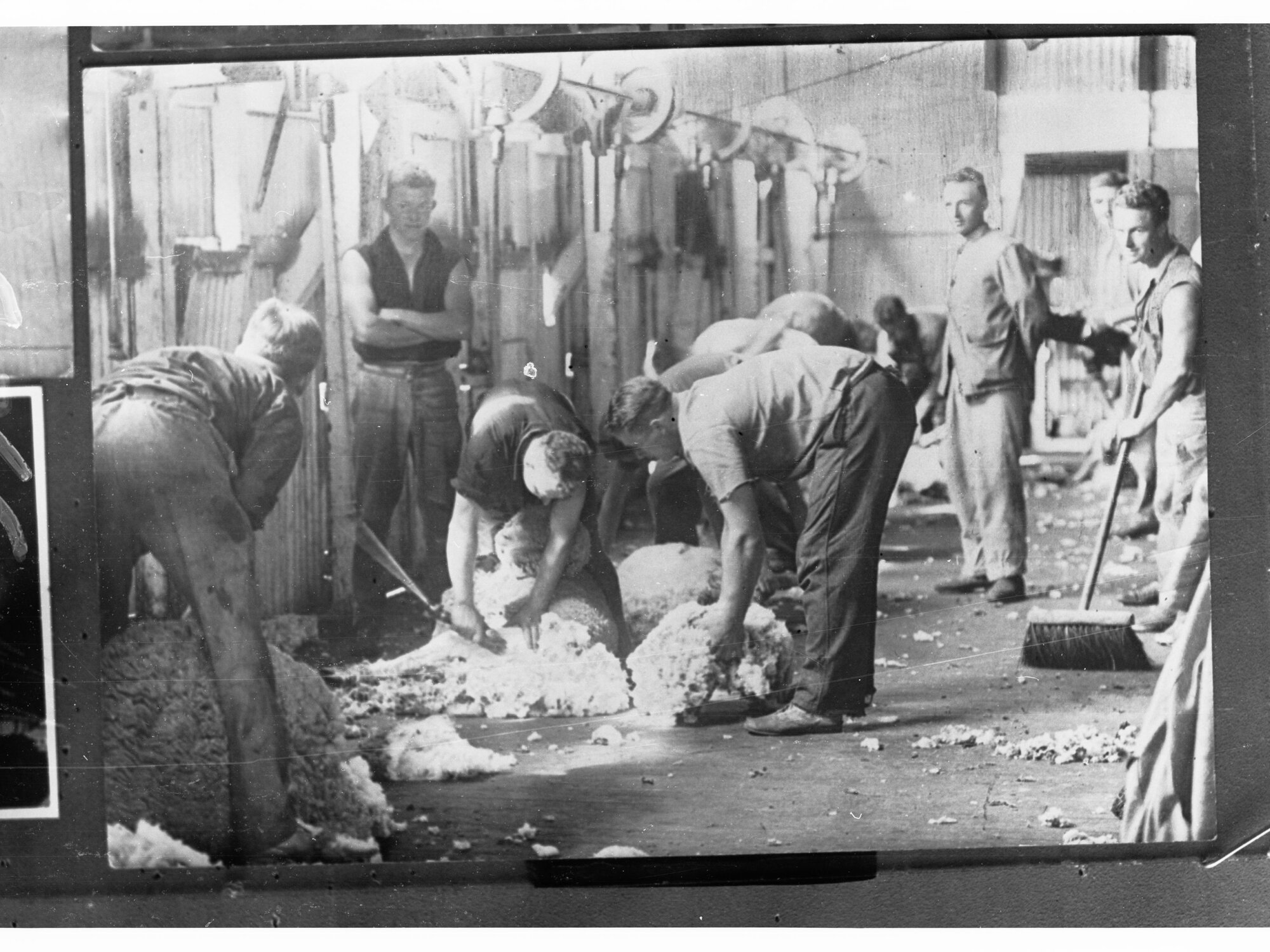 Shearers at Work
