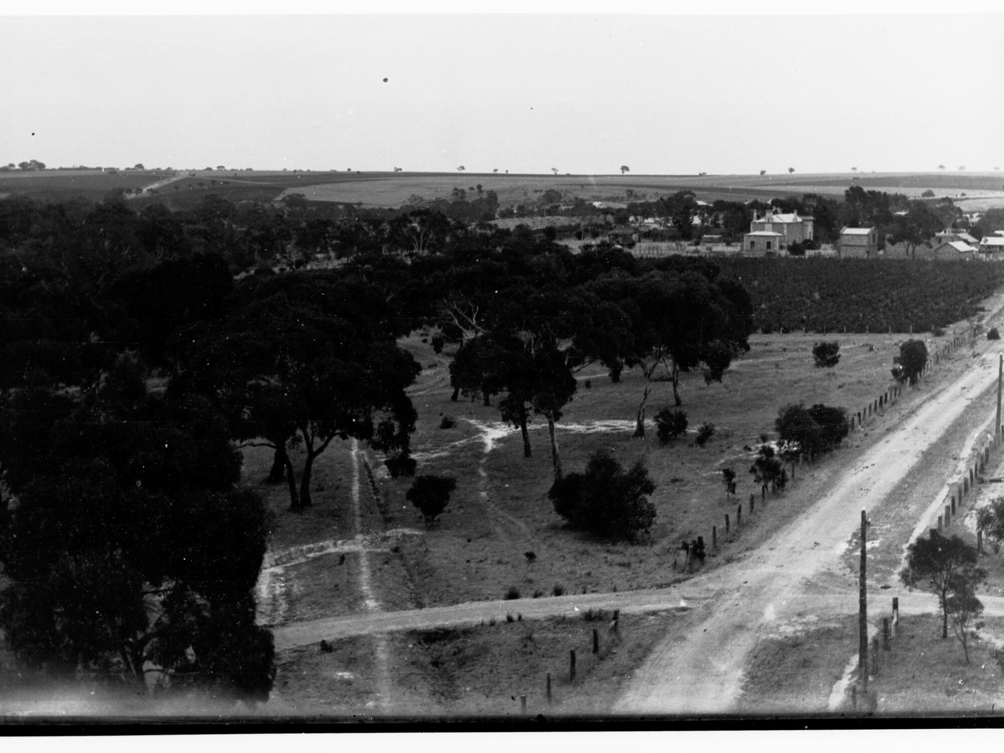 Tanunda showing road and housing