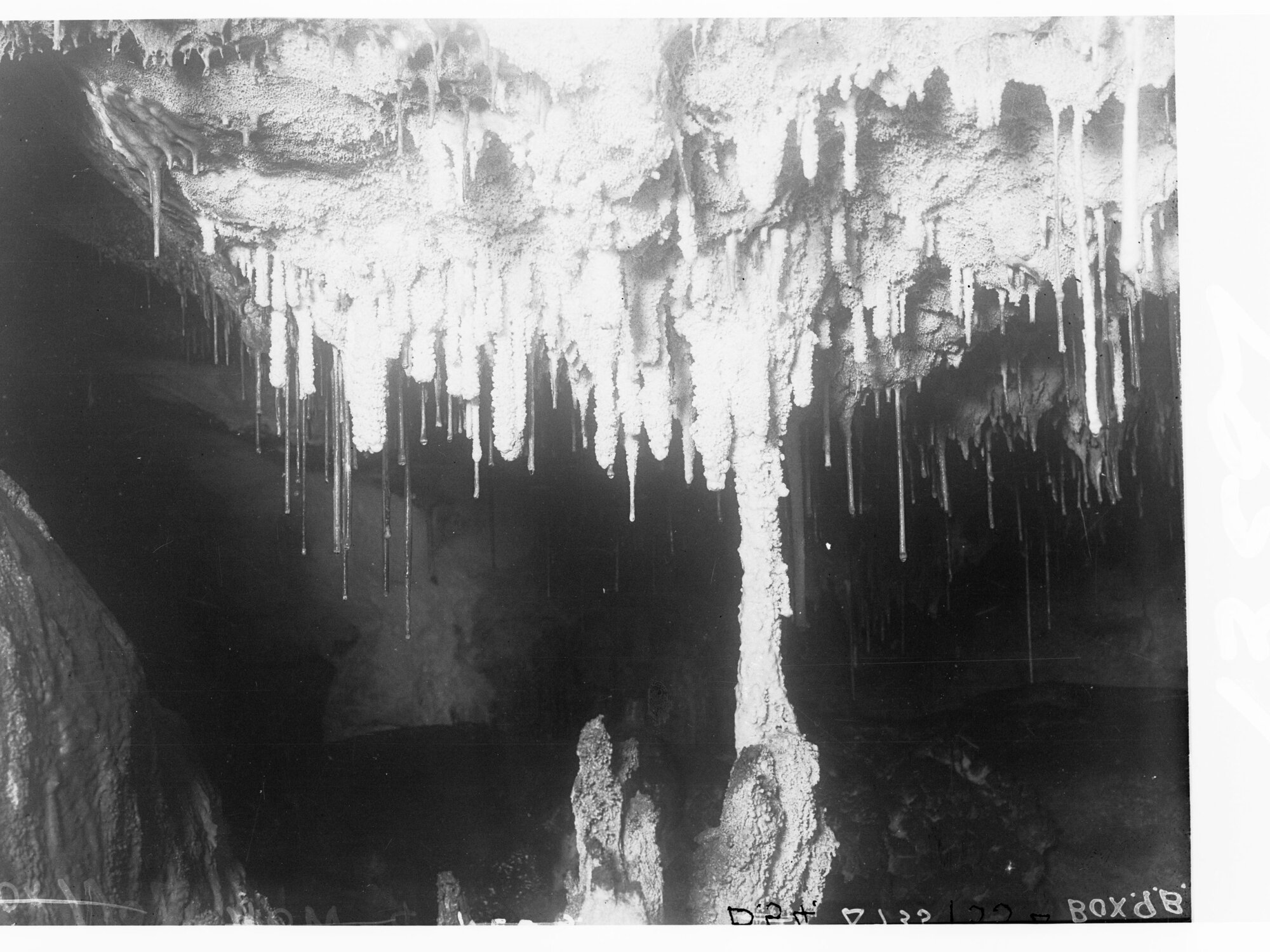 Stalagmites in Cave