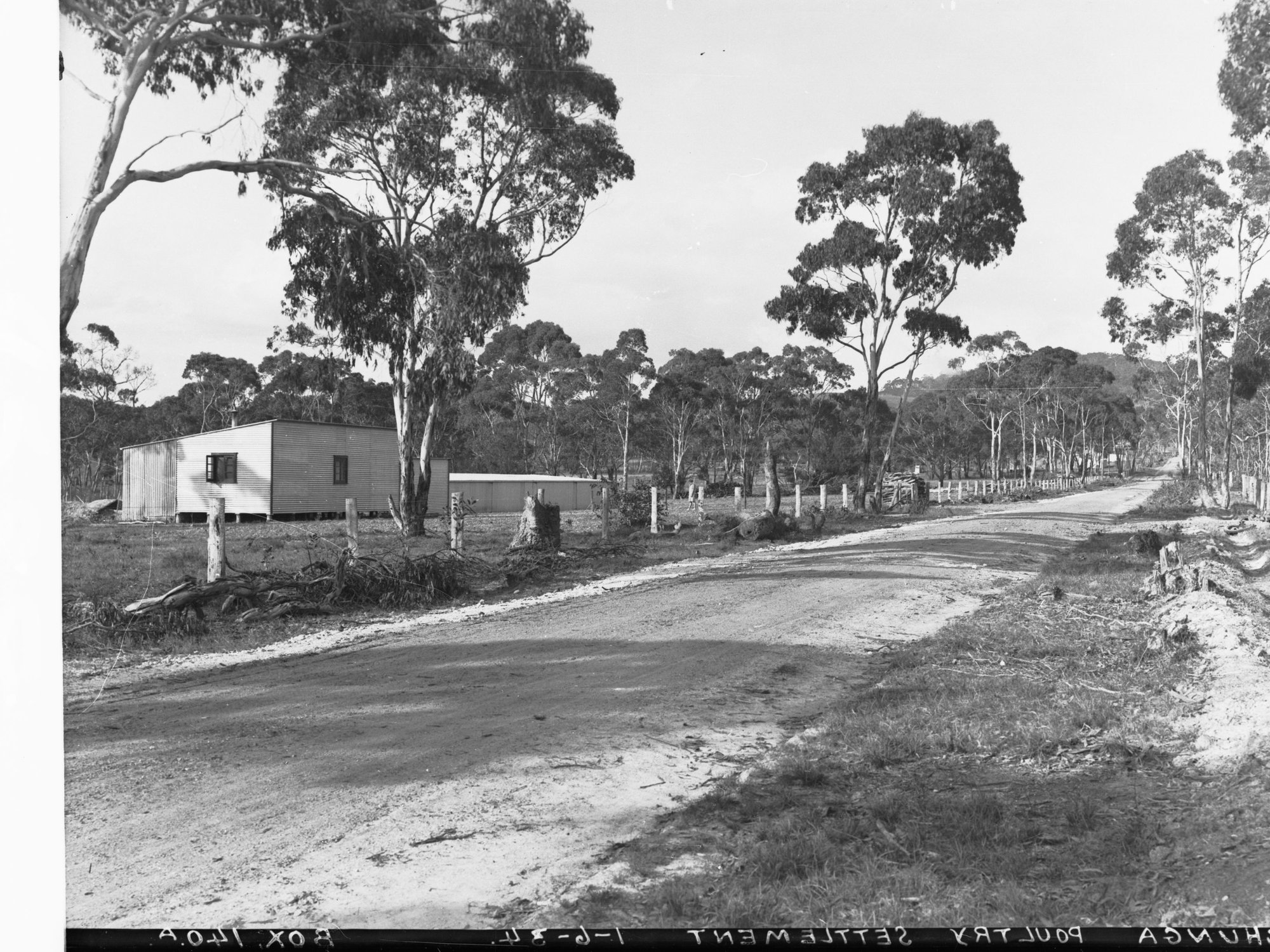 Echunga Poultry Settlement