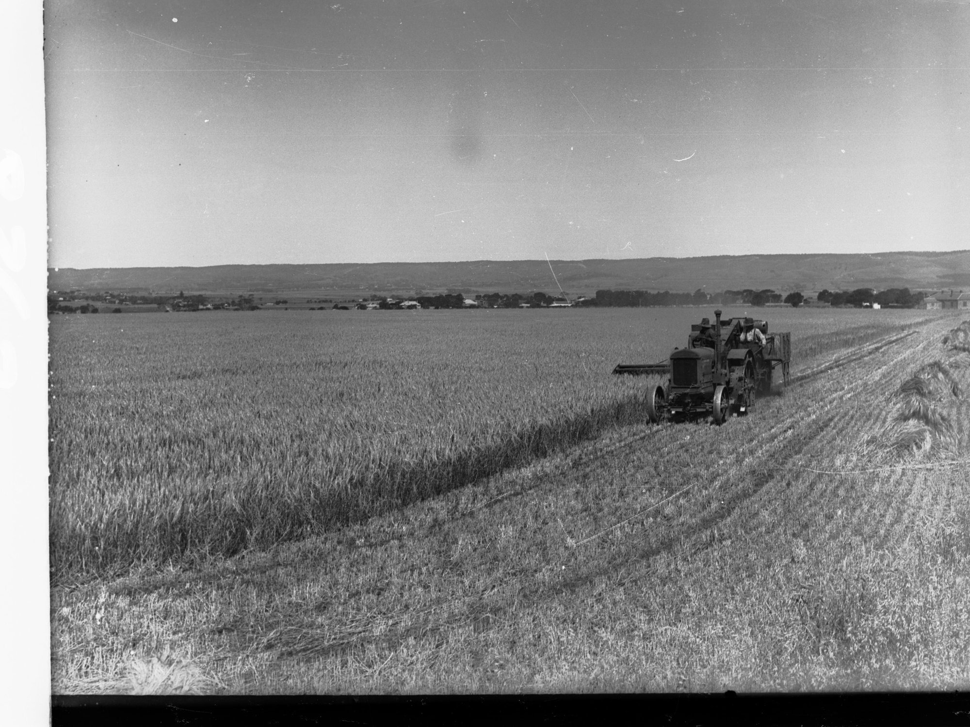Aldinga Harvesting