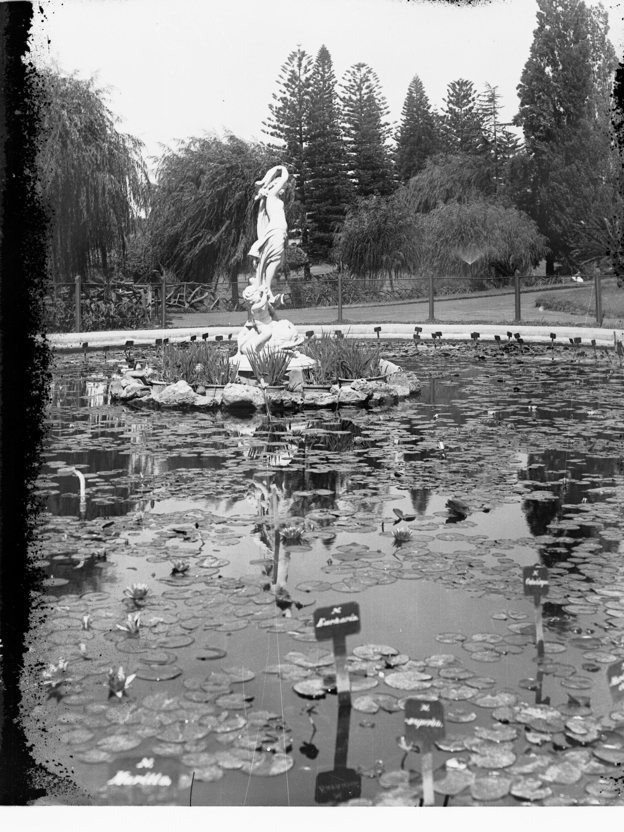 Botanical Gardens Showing Statues in Pond and Pathways Around