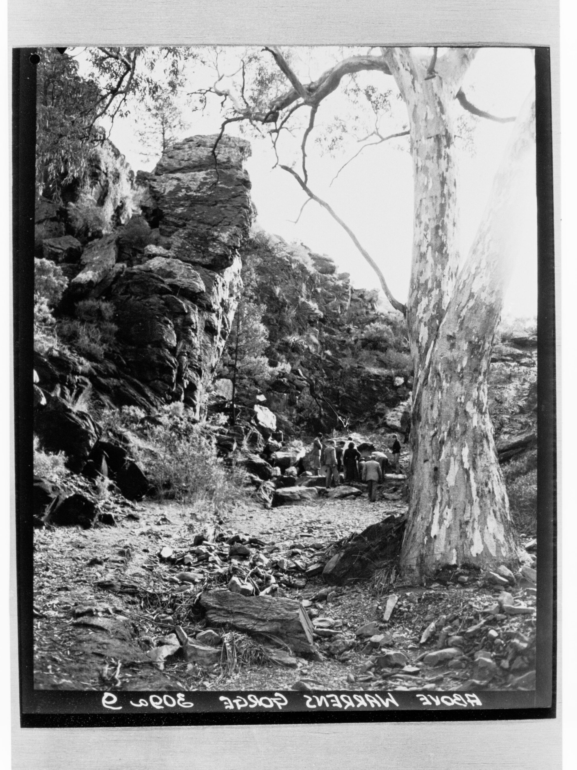 Above Warrens Gorge