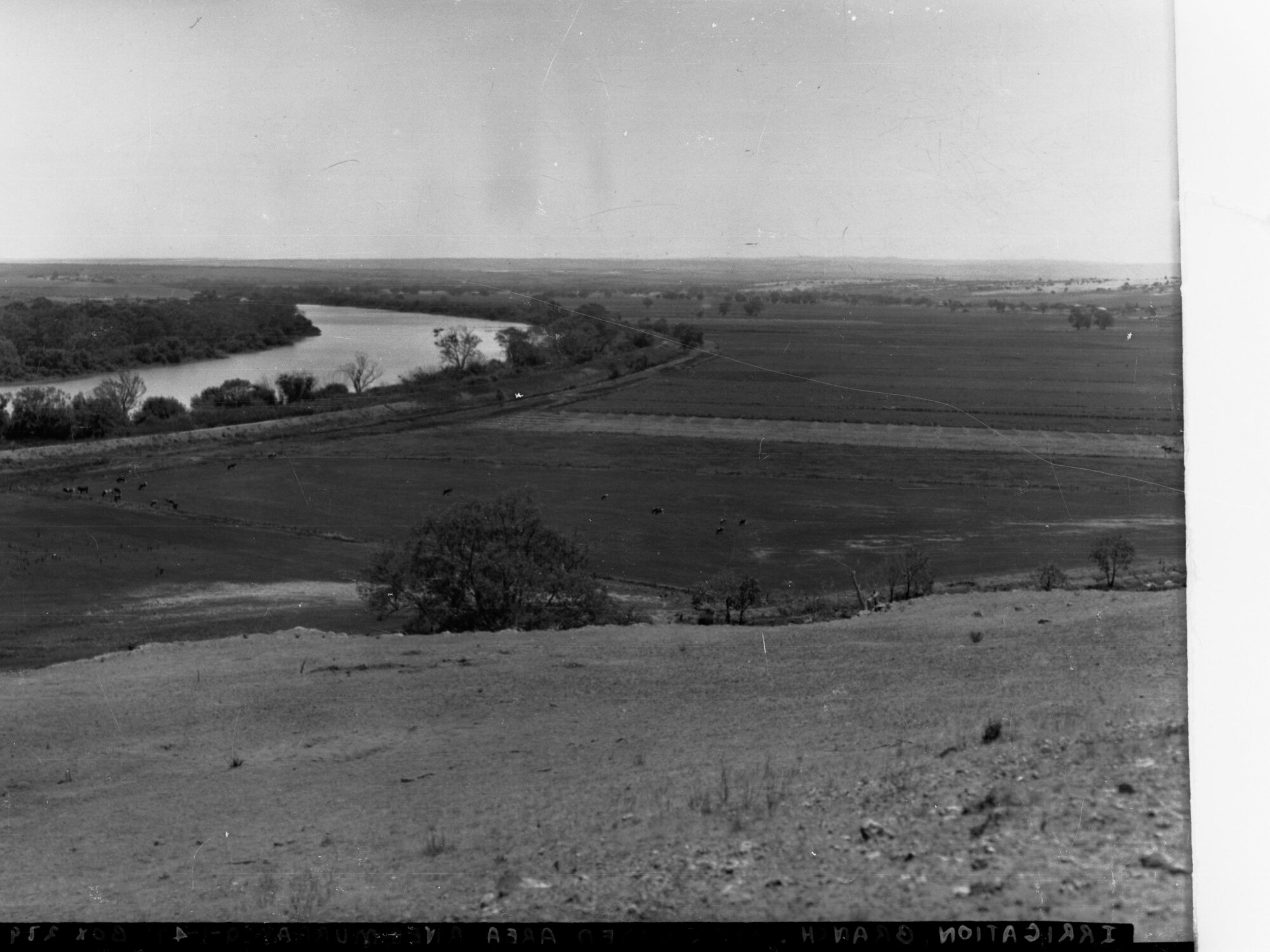 Irrigation Channel River Murray