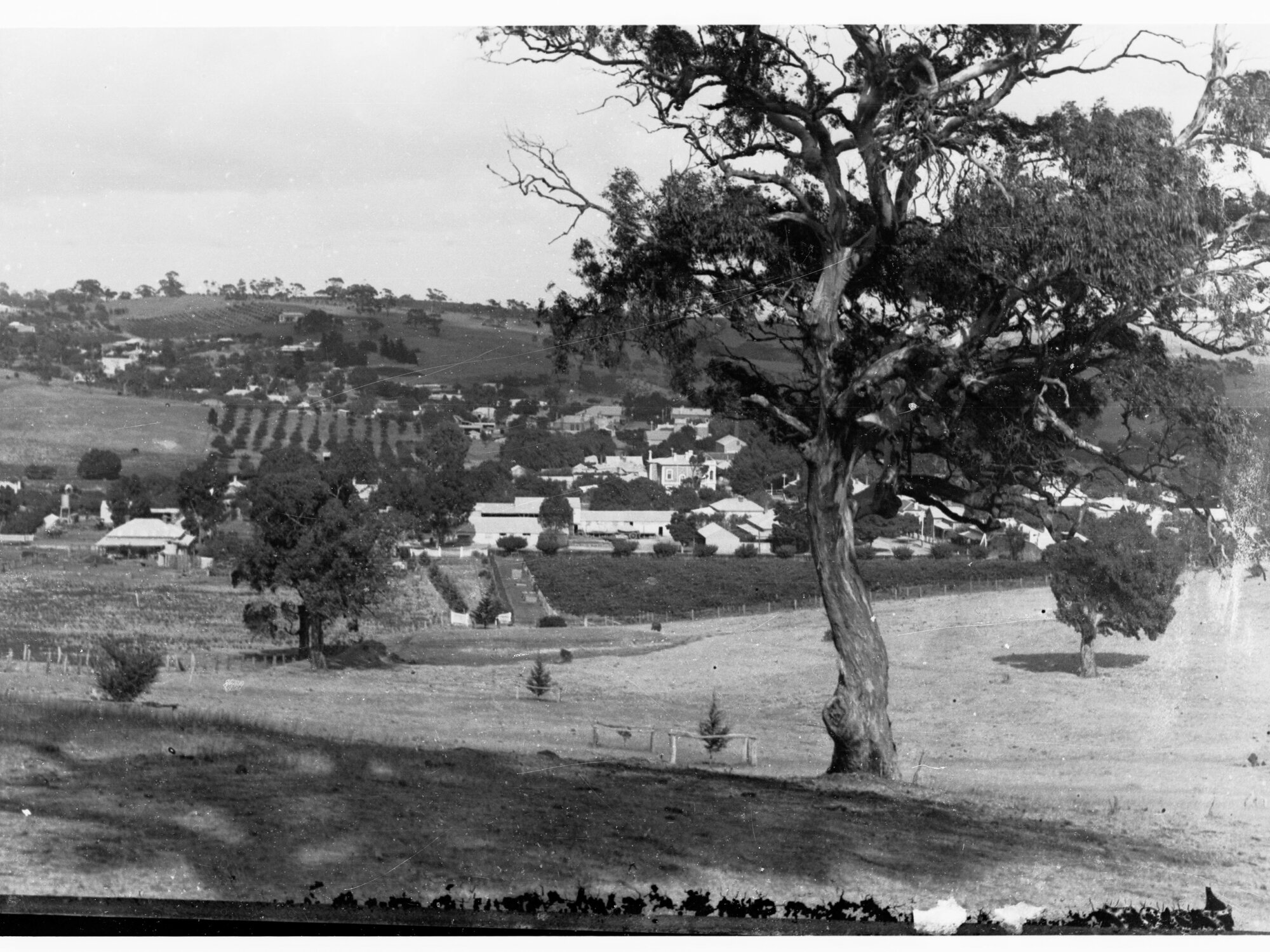 View of Angaston township