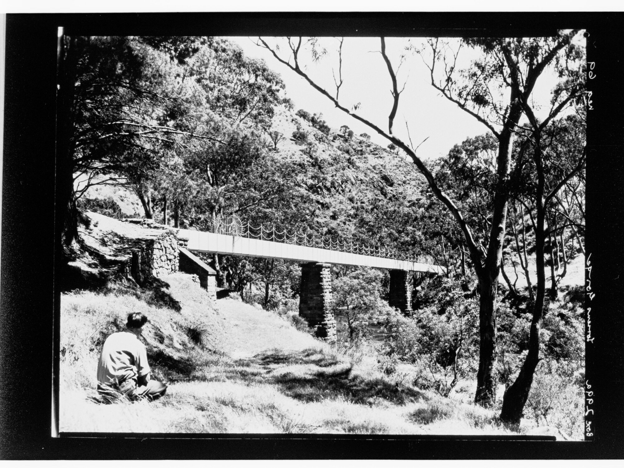 Torrens Gorge