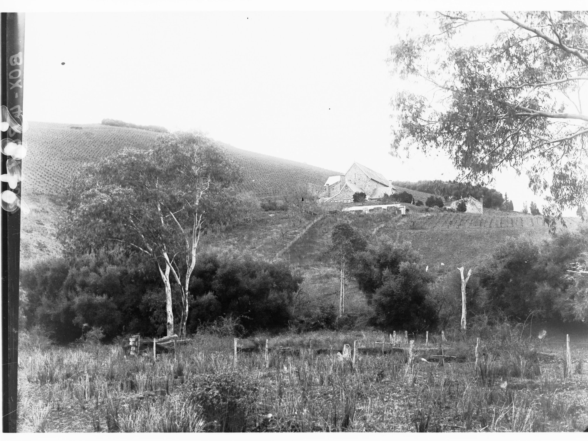 Large farmhouse at Clarendon