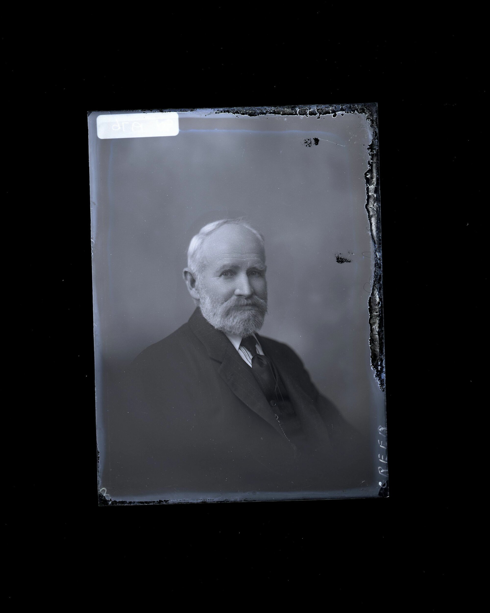 Male - Greer