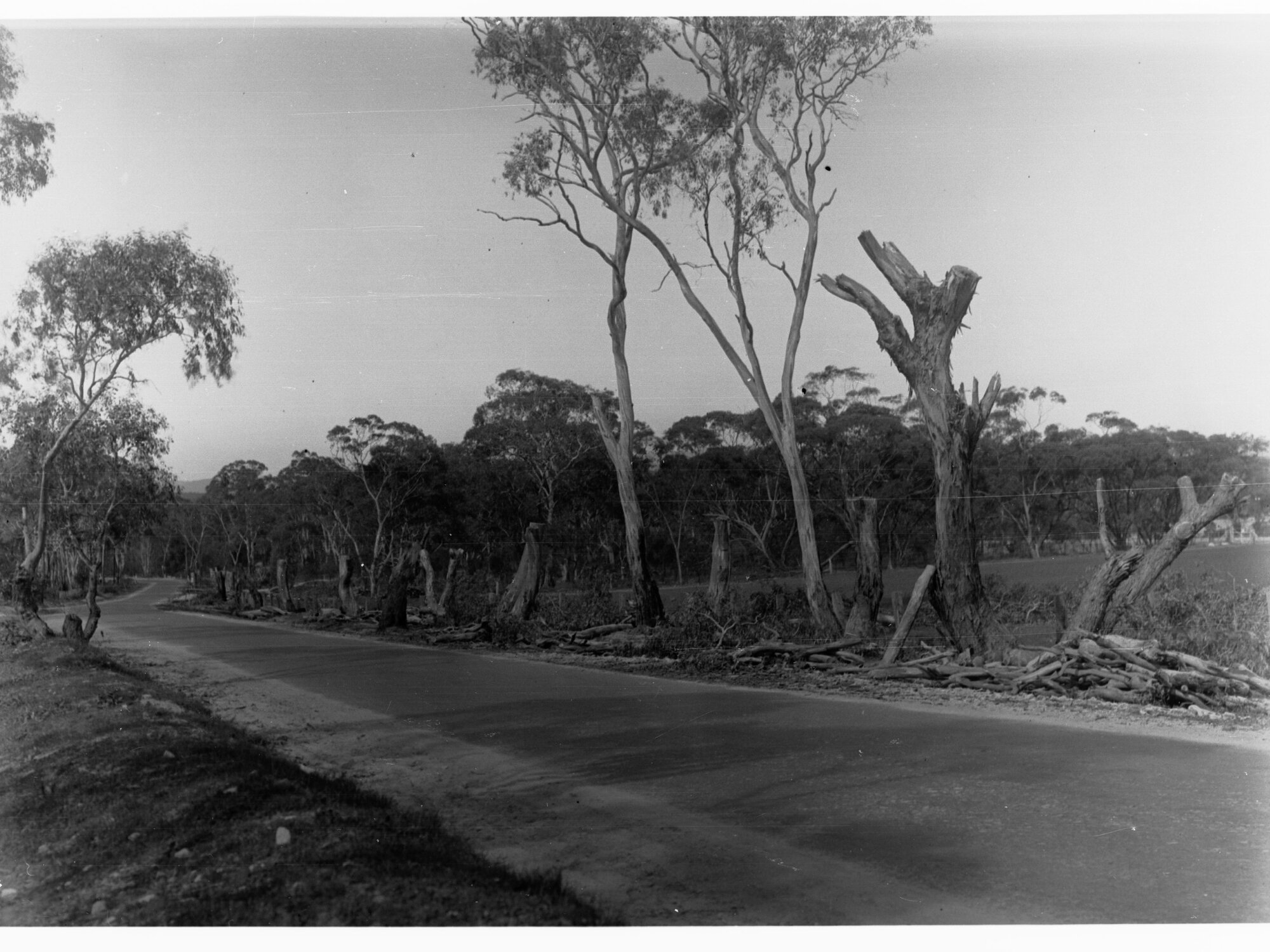 Sandy Creek and Lyndoch showing orad