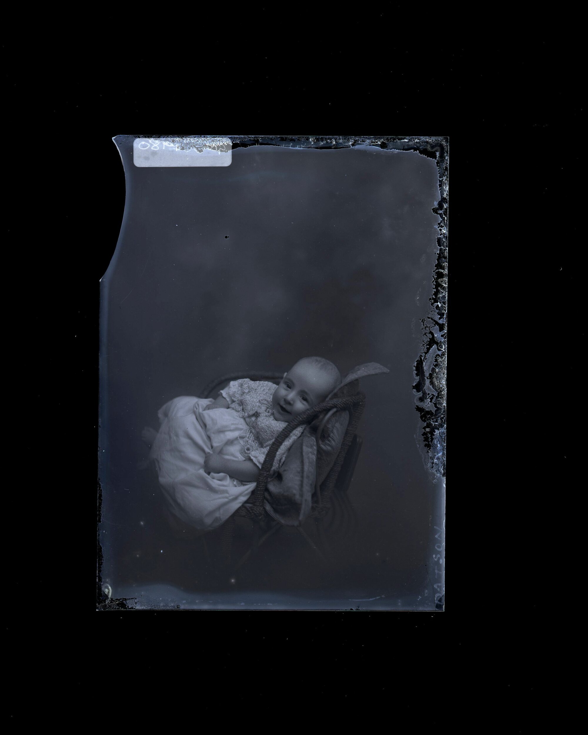 Infant - Datson
