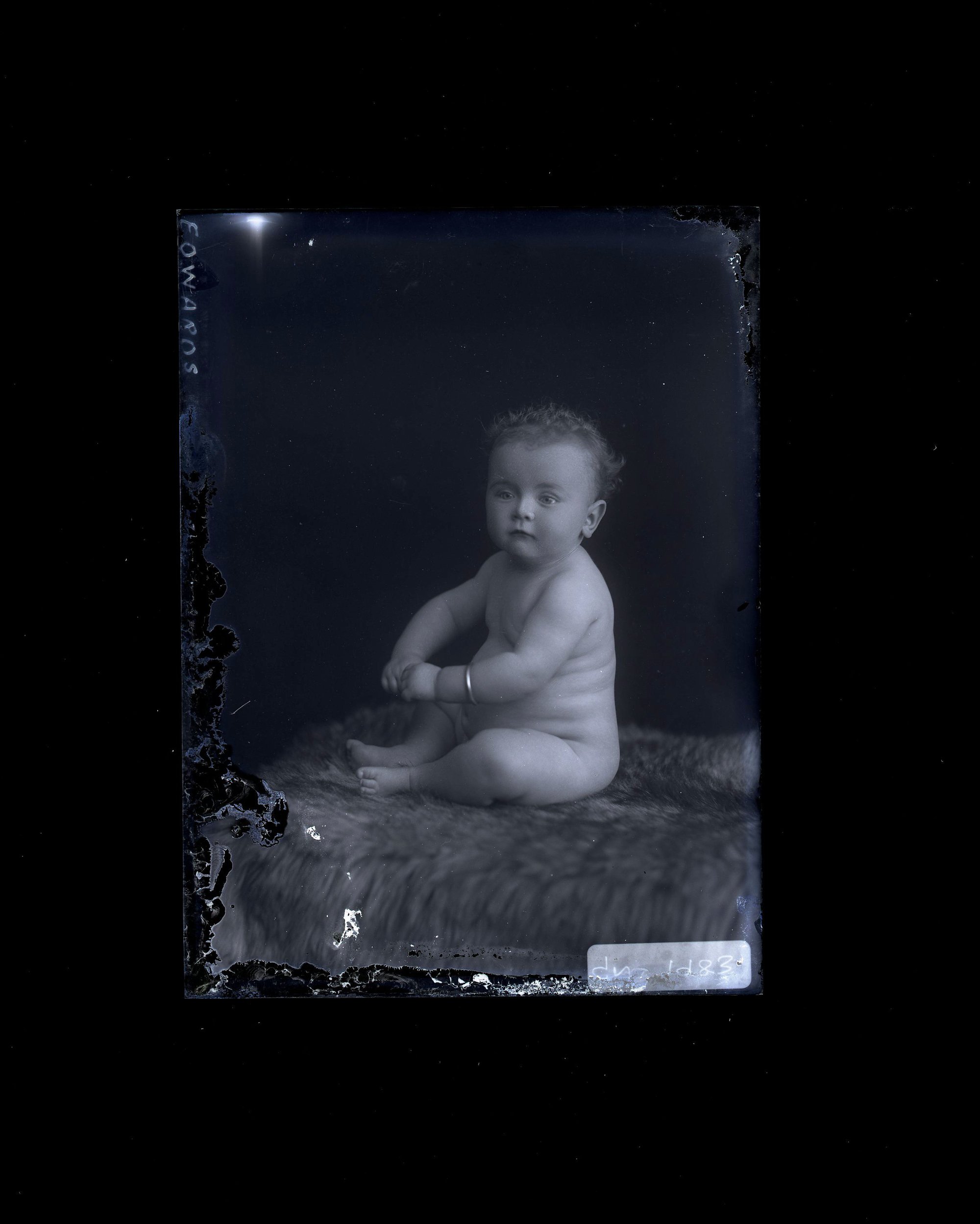Infant - Edwards