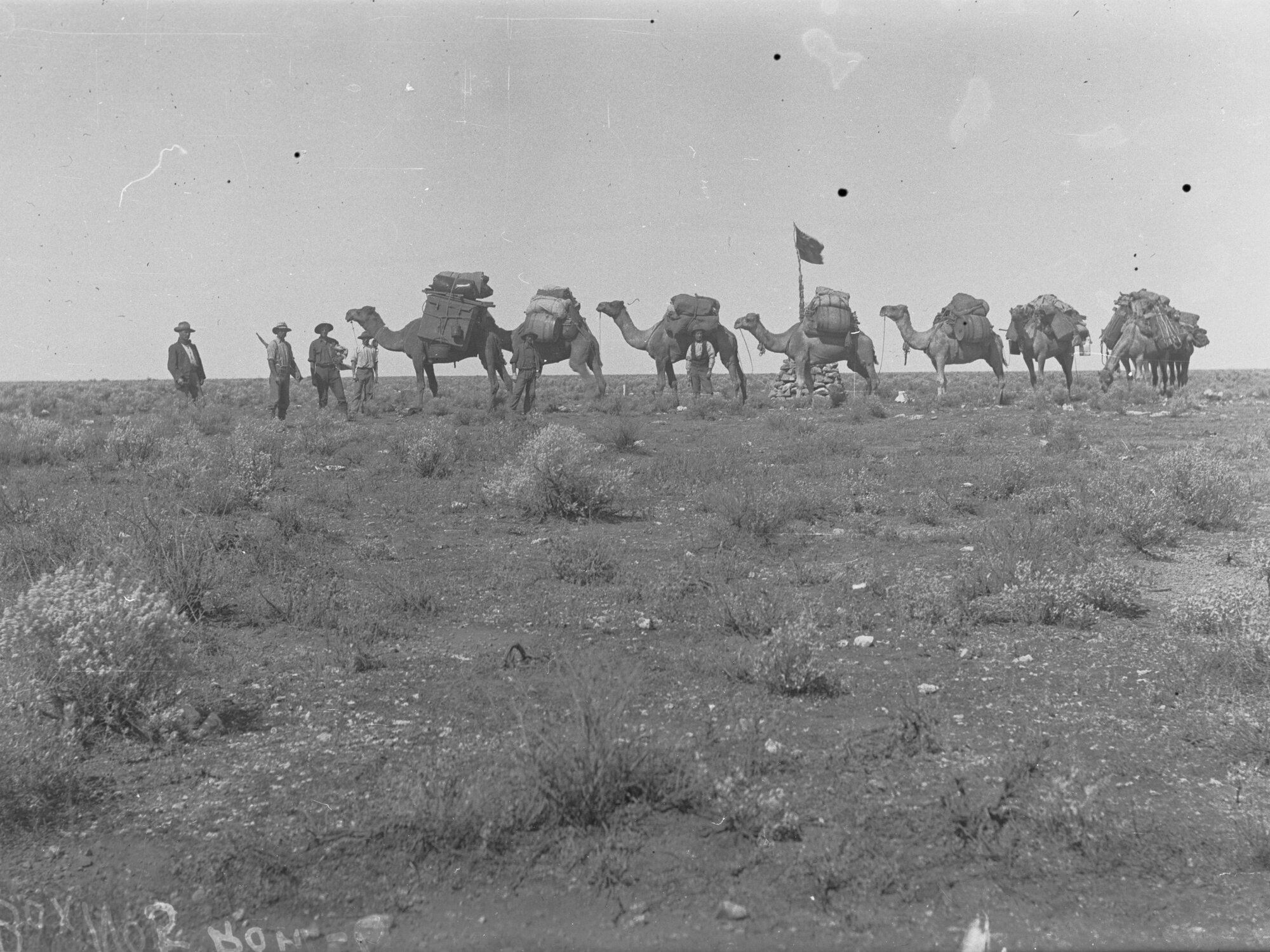 Surveyors with Camels, Surveying for East West Line