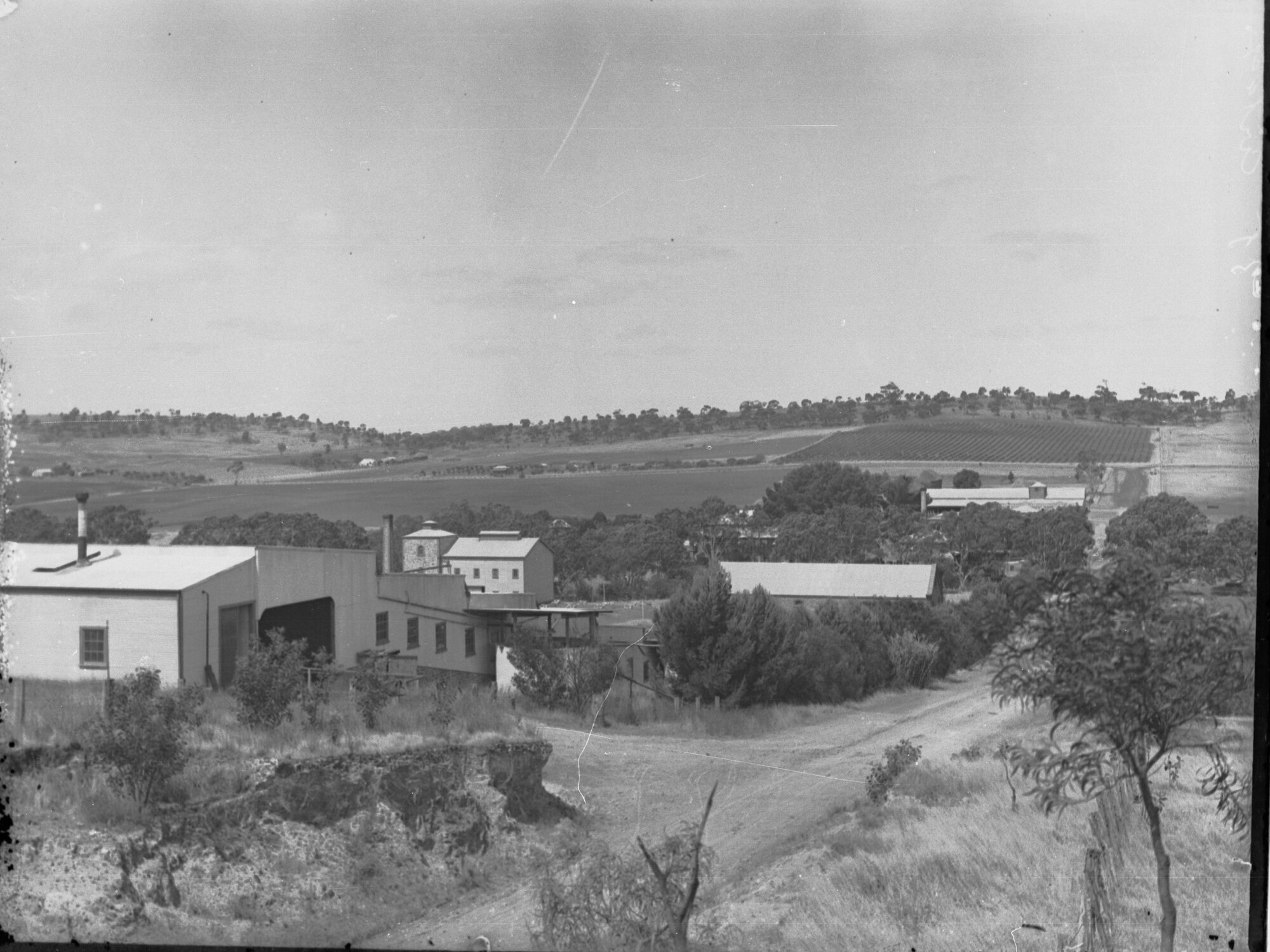 Rural scene with homestead