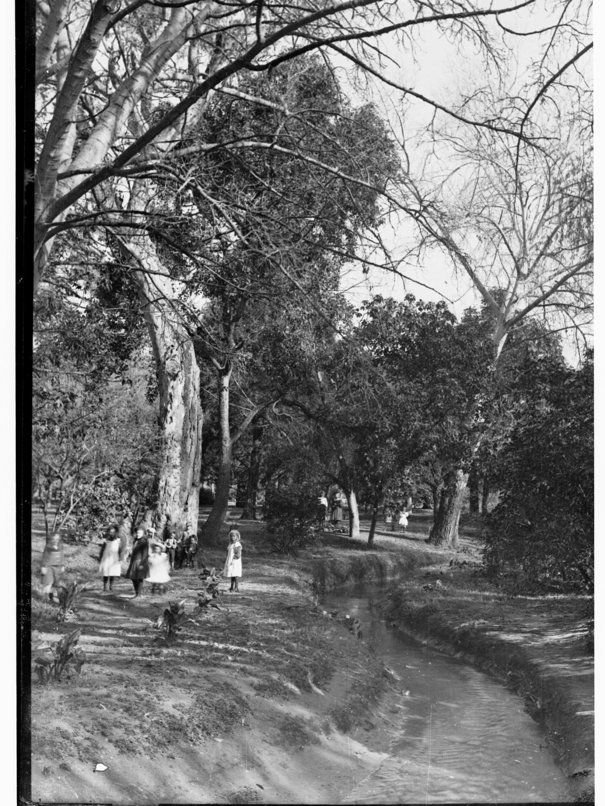 Children in Botanic Gardens