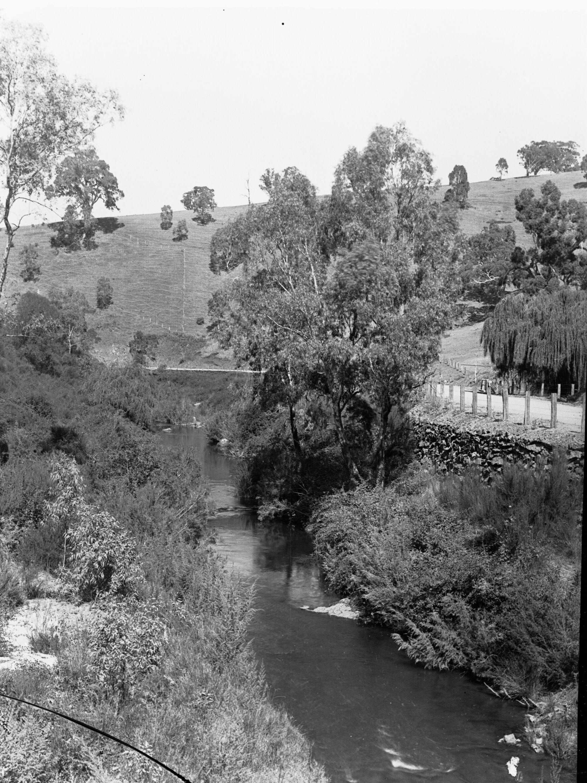 Torrens Gorge