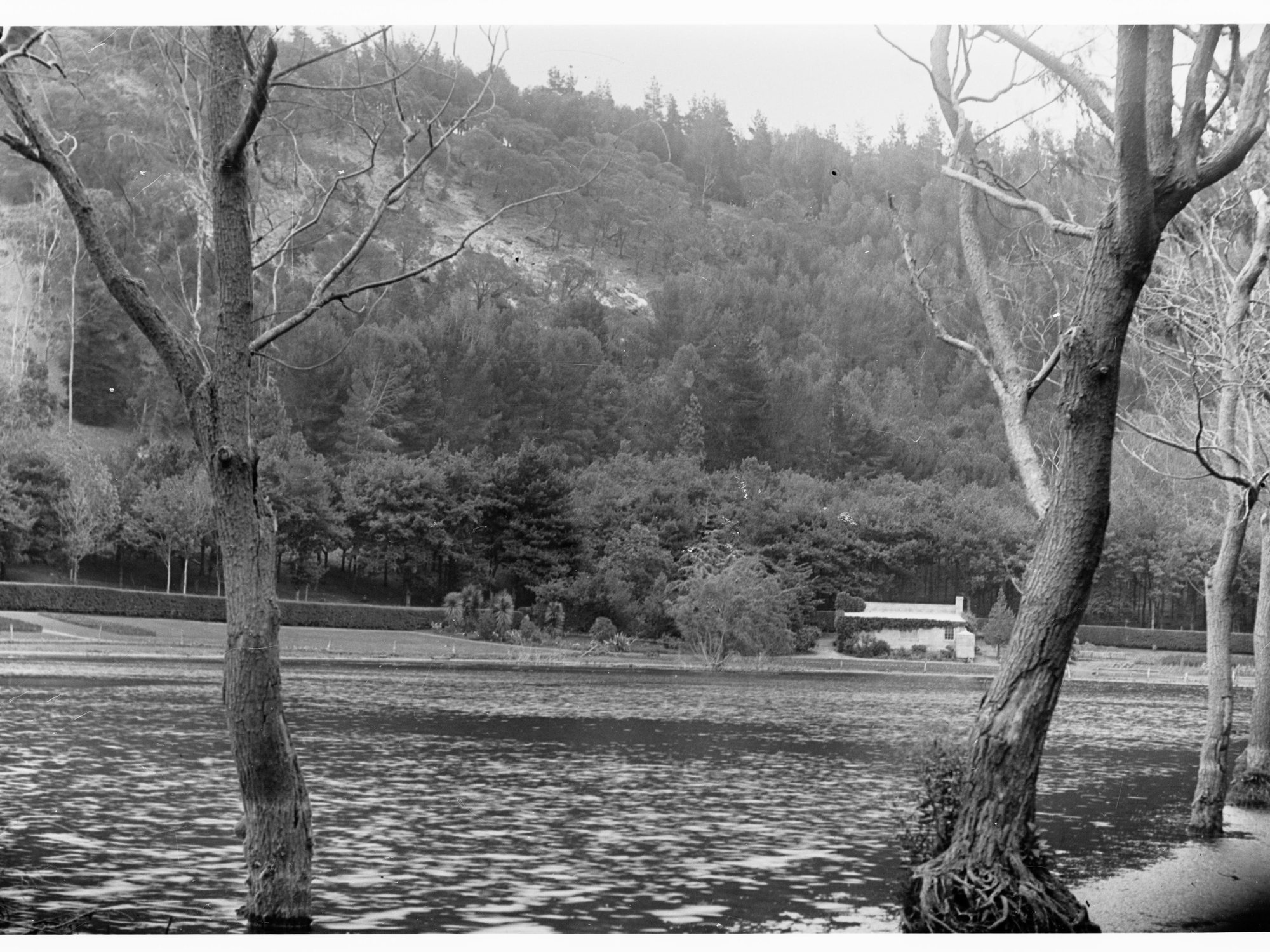 Leg of Mutton Lake, Mount Gambier