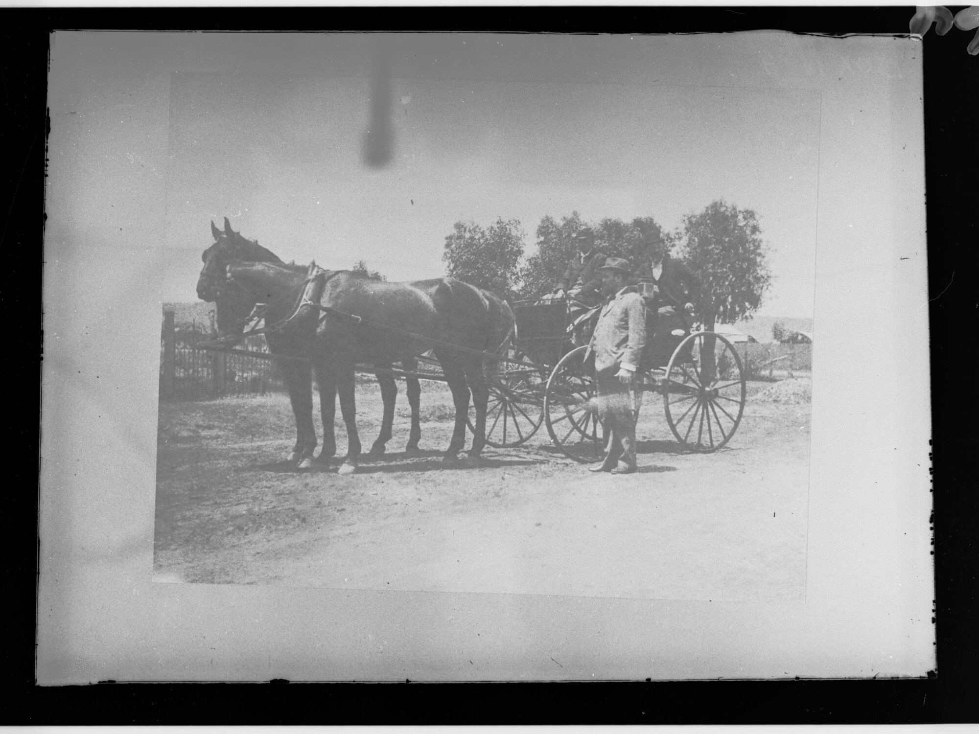 Horse Drawn Buggy