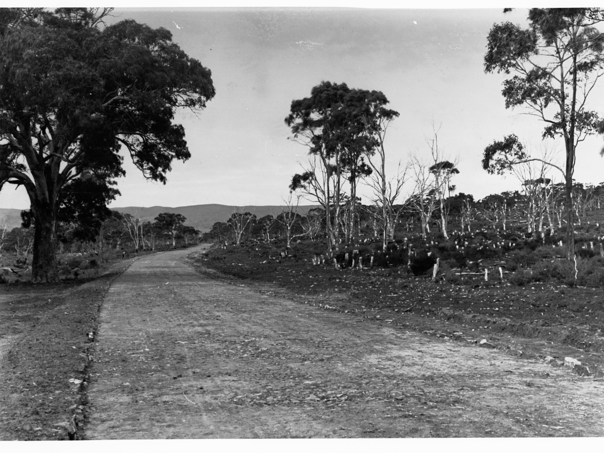 Sellicks Hill