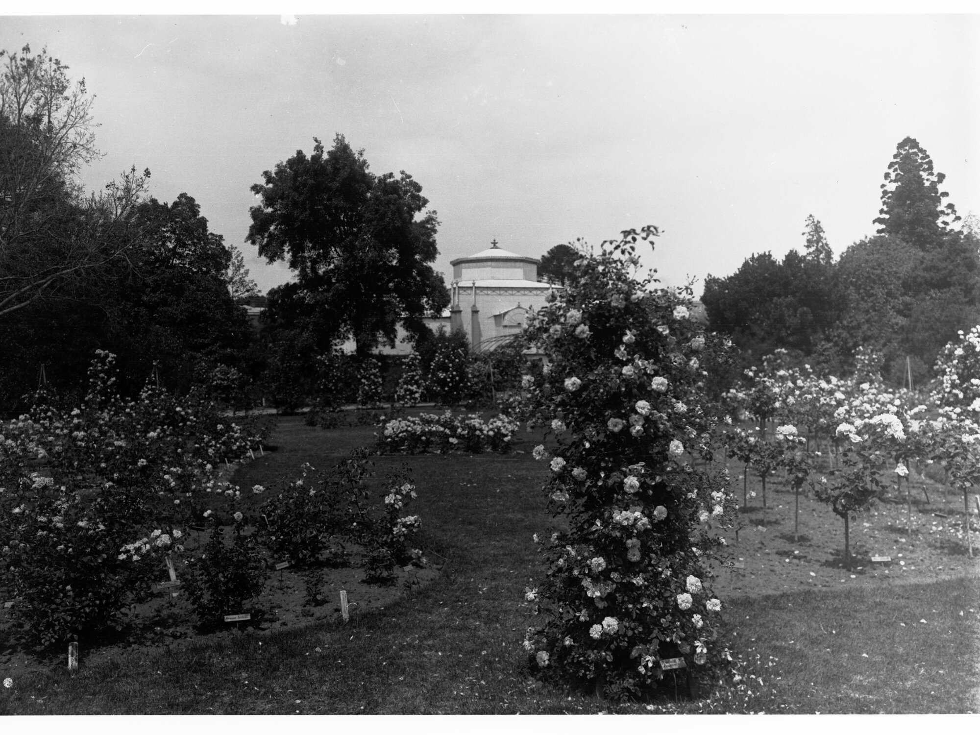 Botanic Gardens in Rose Garden