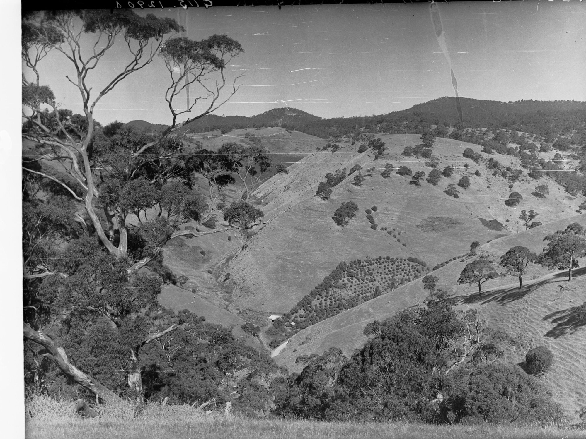 Golf Links at Mount Osmond