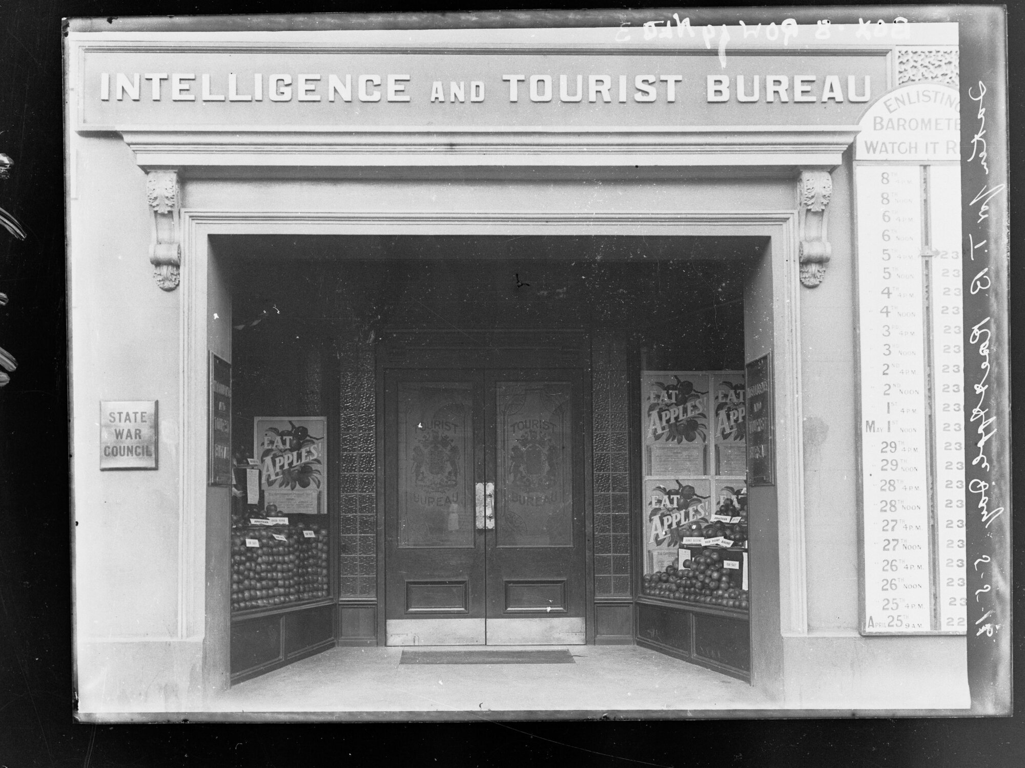 Intelligence and Tourist Bureau window display,  Rose &amp; Apple Day for Tuberculosis