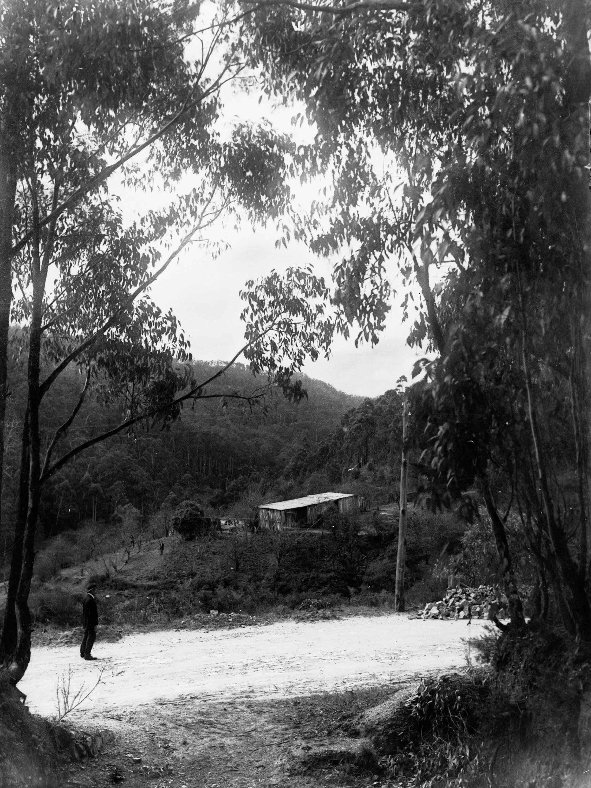 Forest range, Mount Lofty Ranges