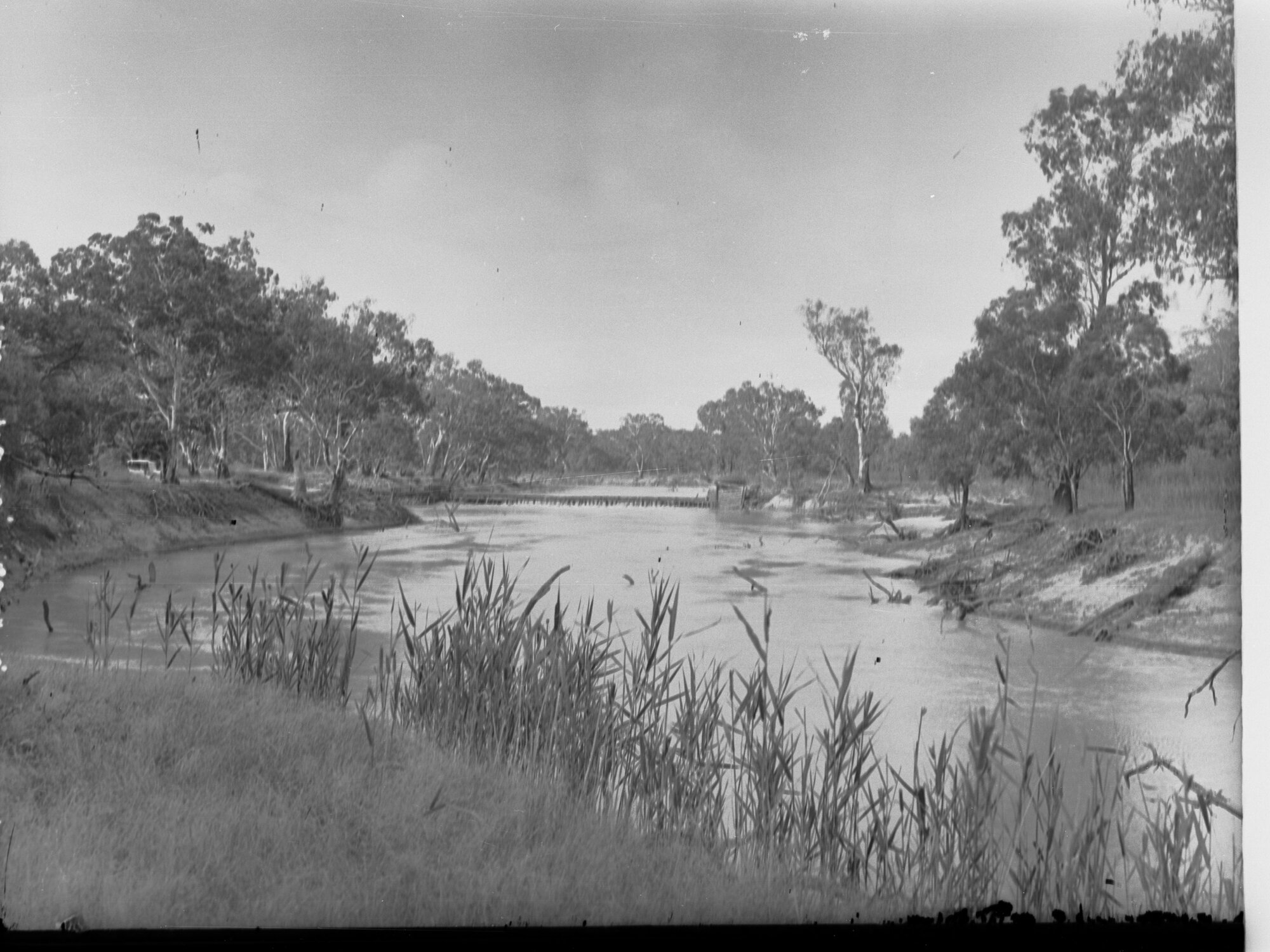 Kattarapko Creek River Murray