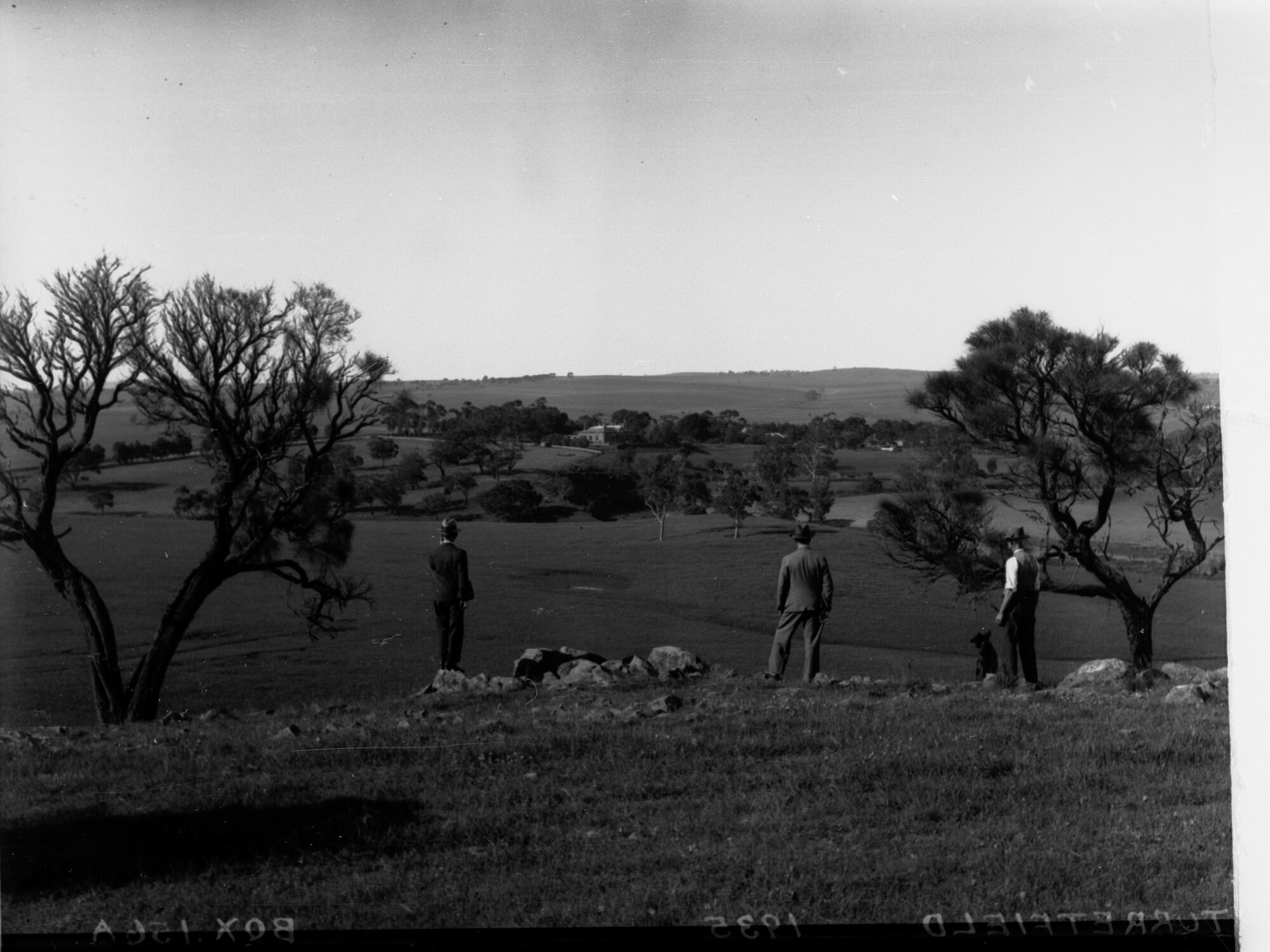 Three men overlooking Turretfield