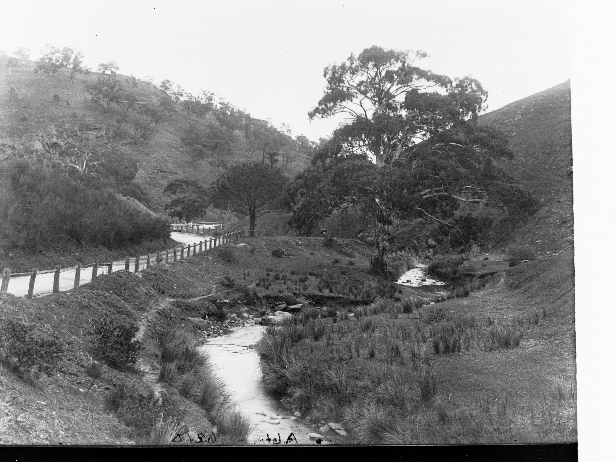 Brownhill Creek Reserve, Mitcham